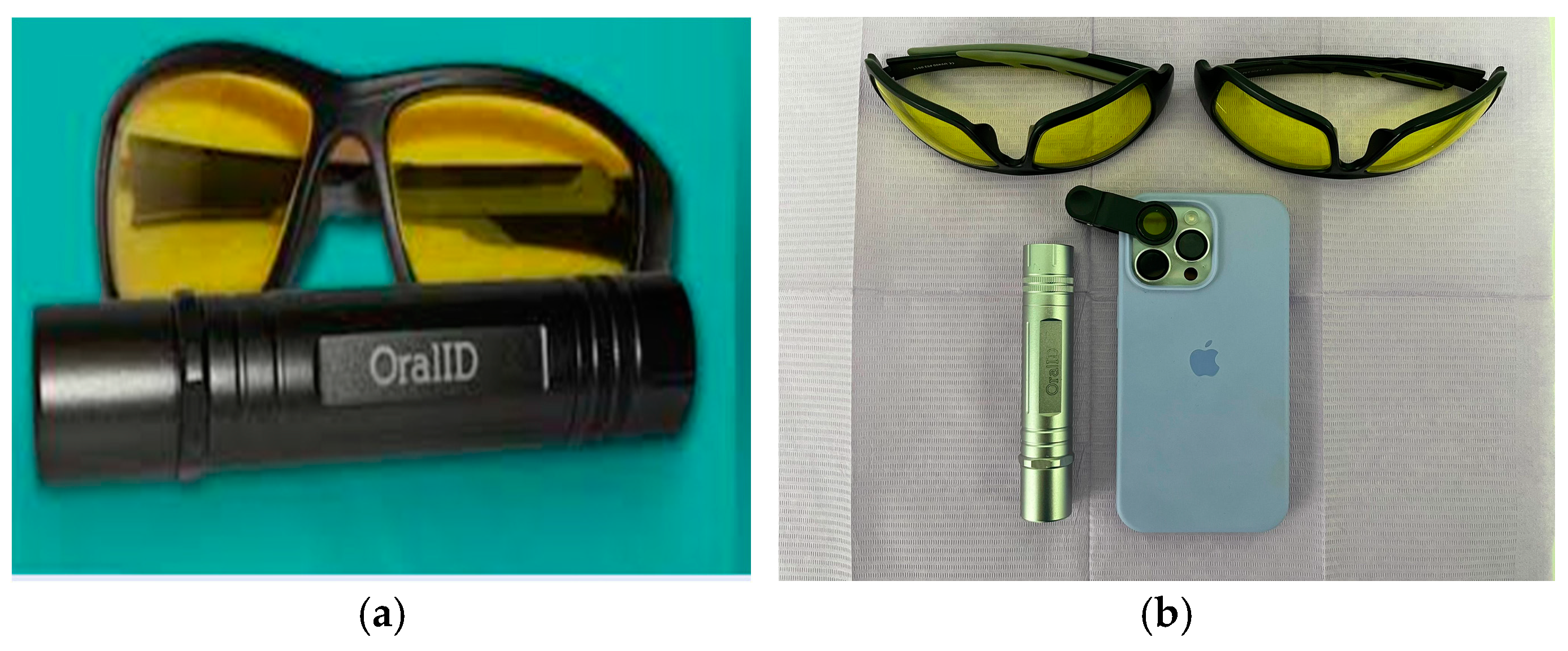 Dentistry 13 00010 g001