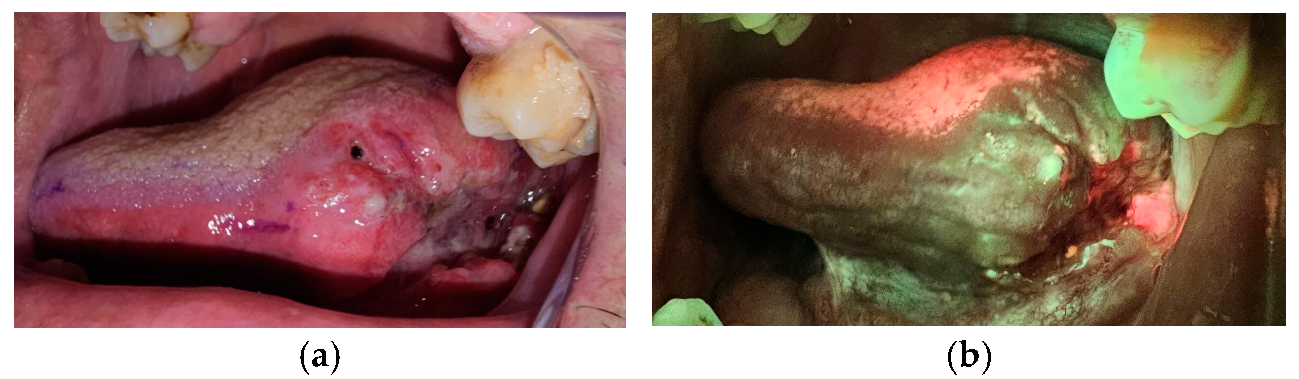 Dentistry 13 00010 g002