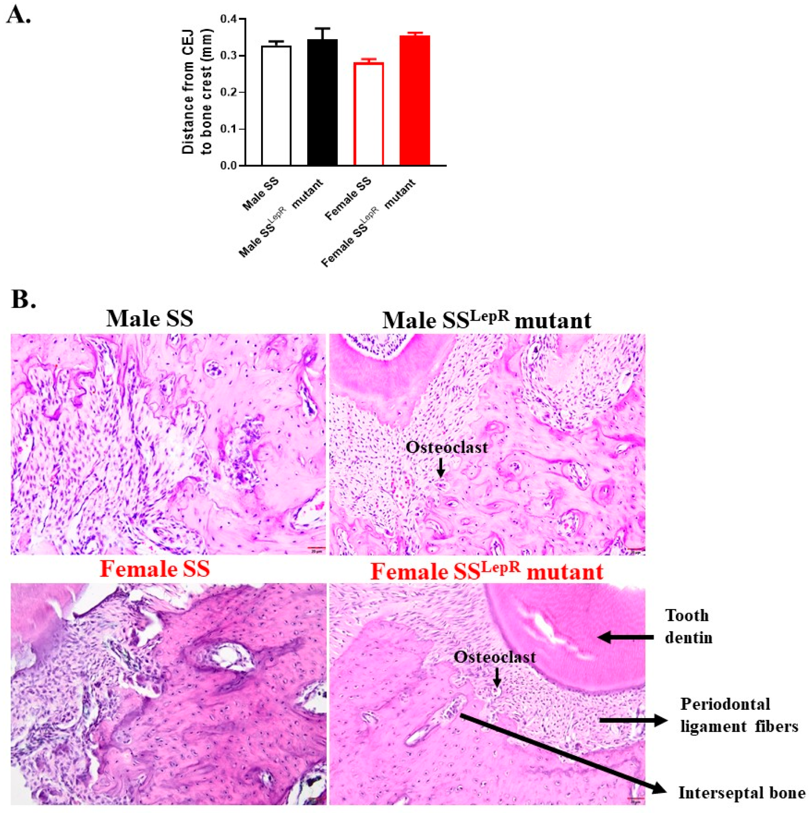 Dentistry 13 00014 g002