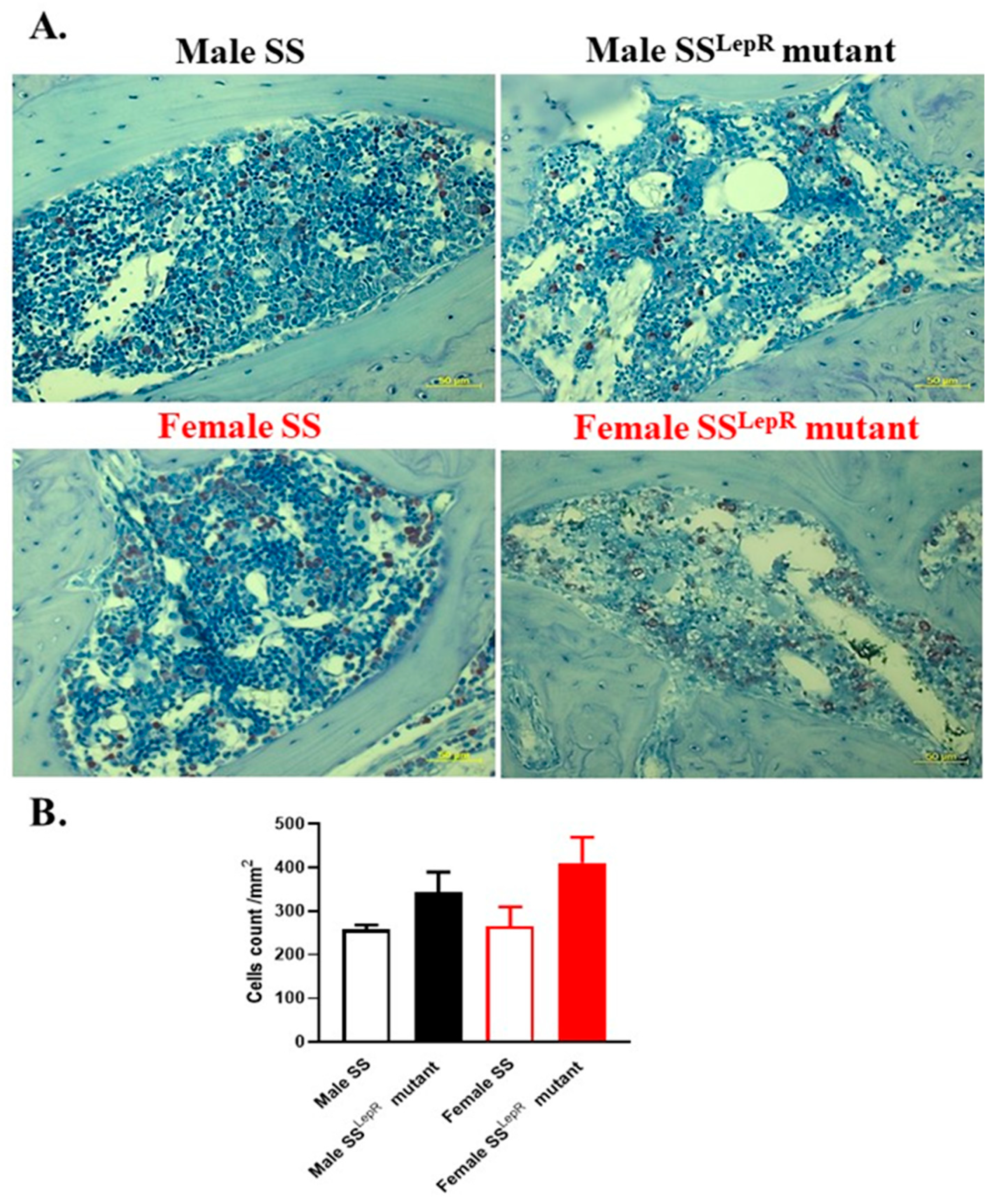 Dentistry 13 00014 g003