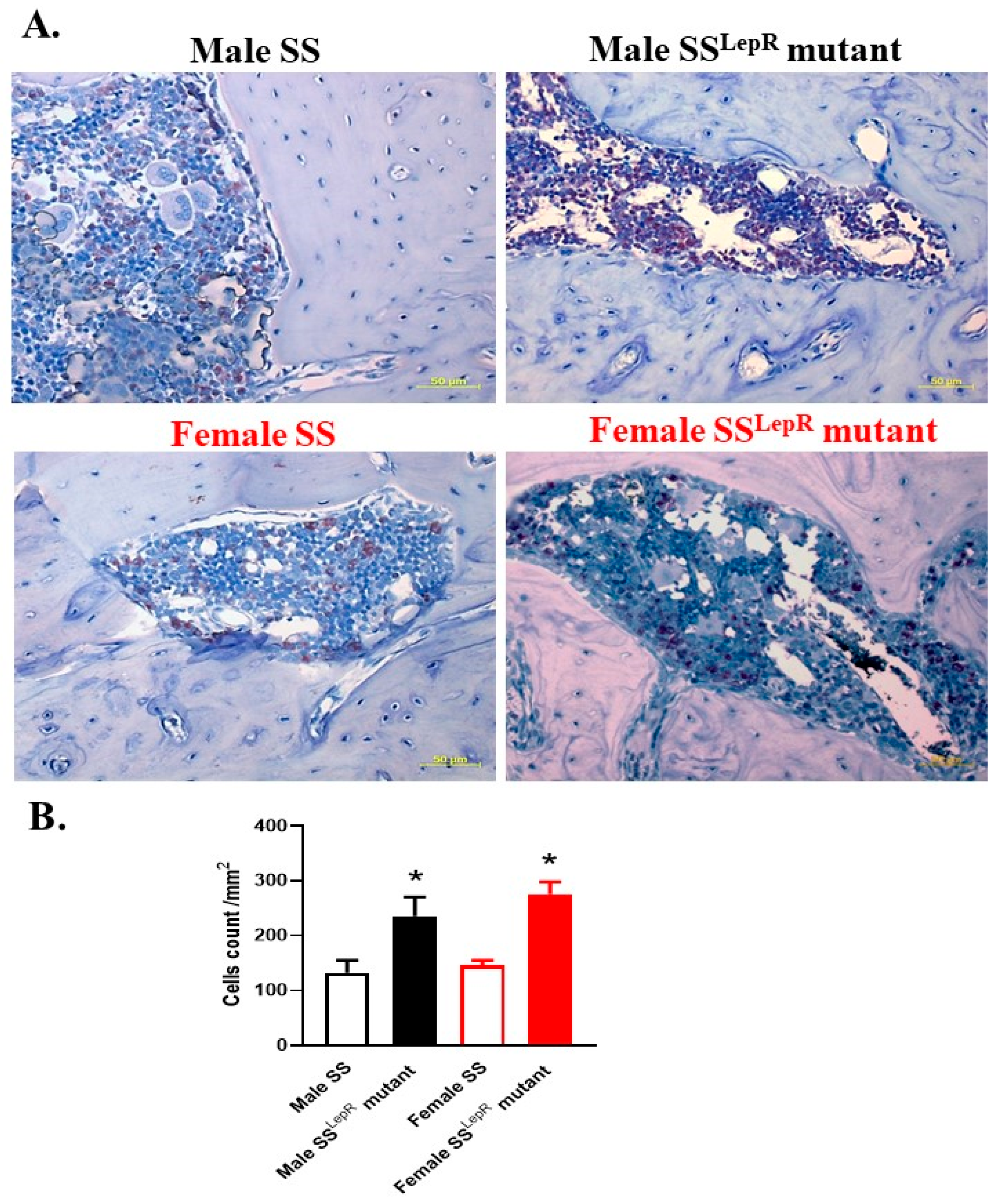 Dentistry 13 00014 g004