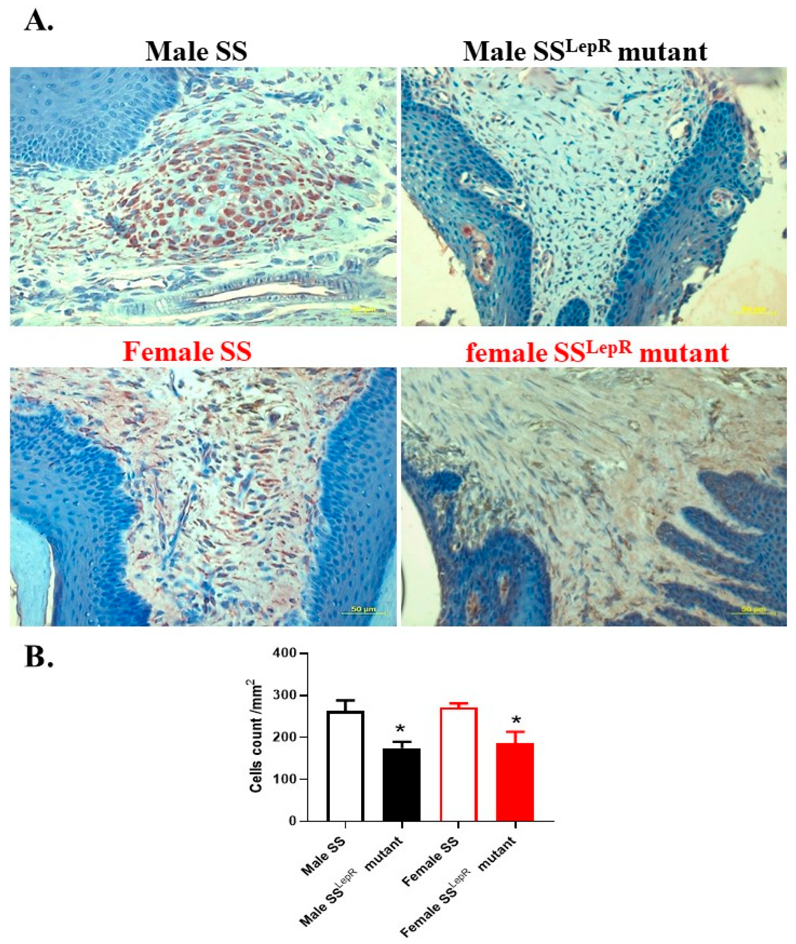 Dentistry 13 00014 g005