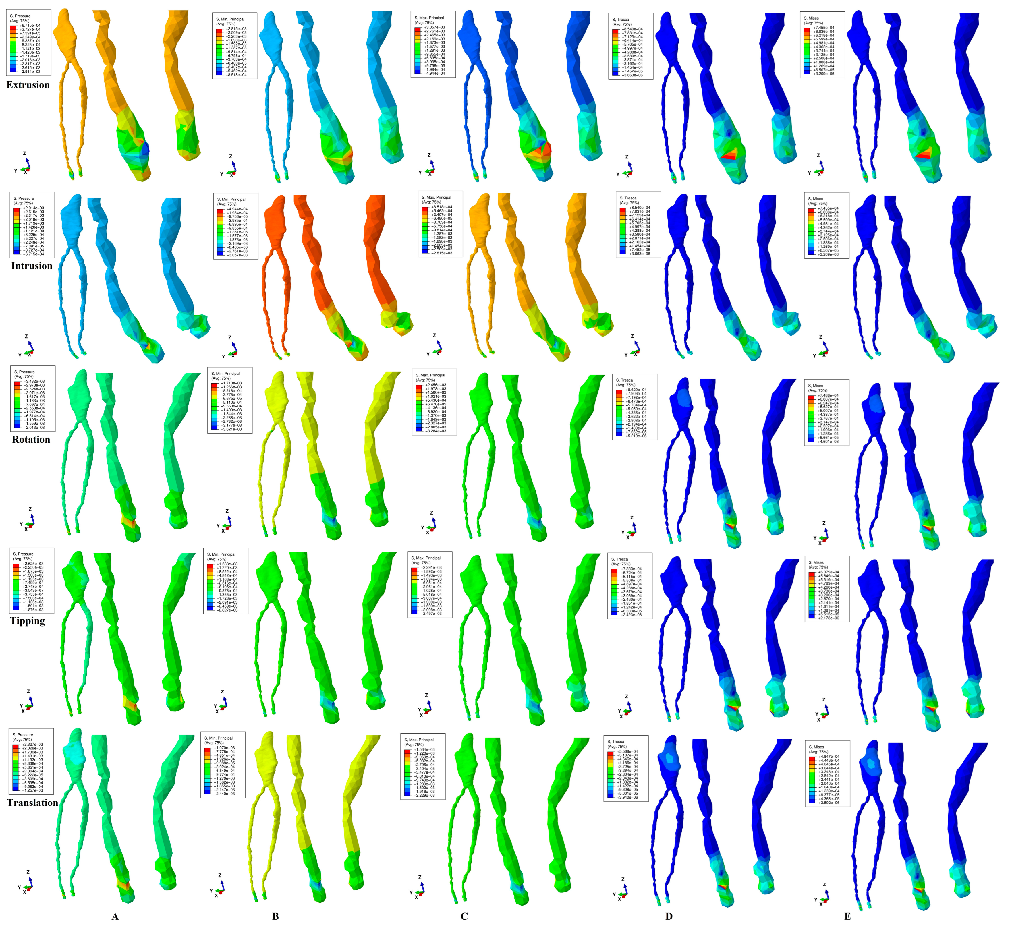 Dentistry 13 00015 g002