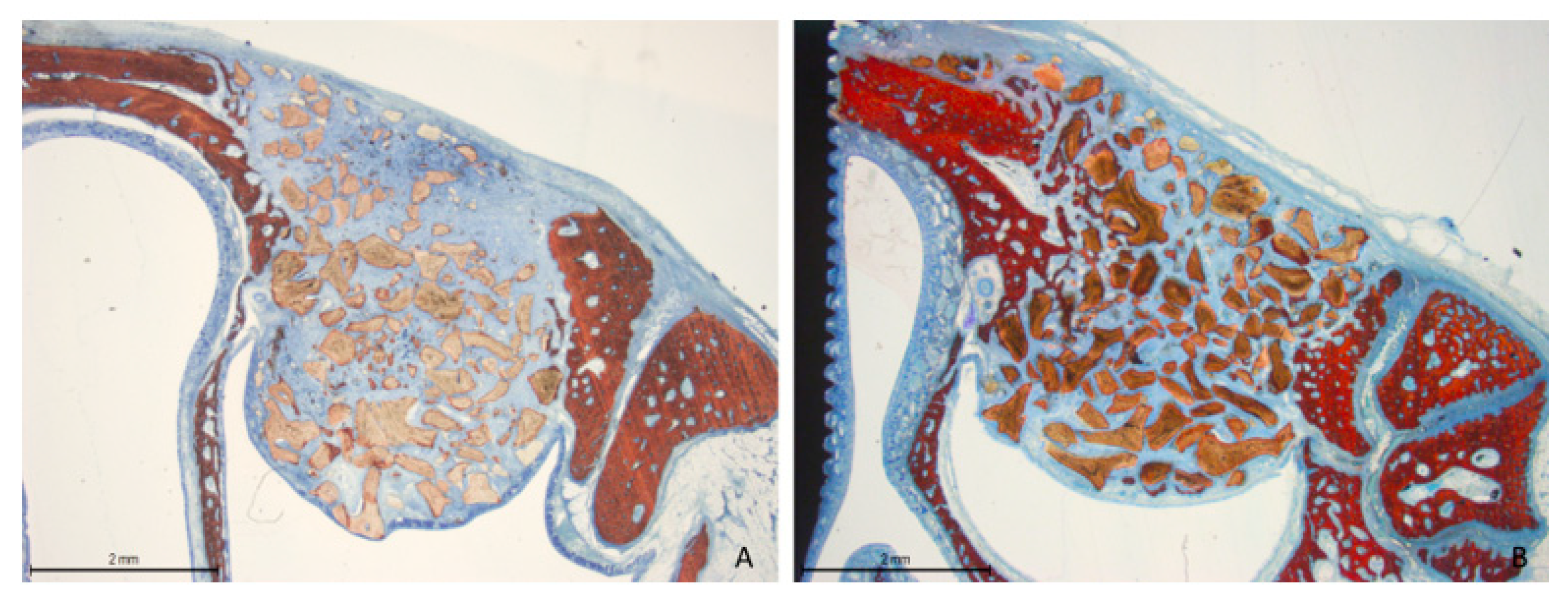 Dentistry 13 00019 g003