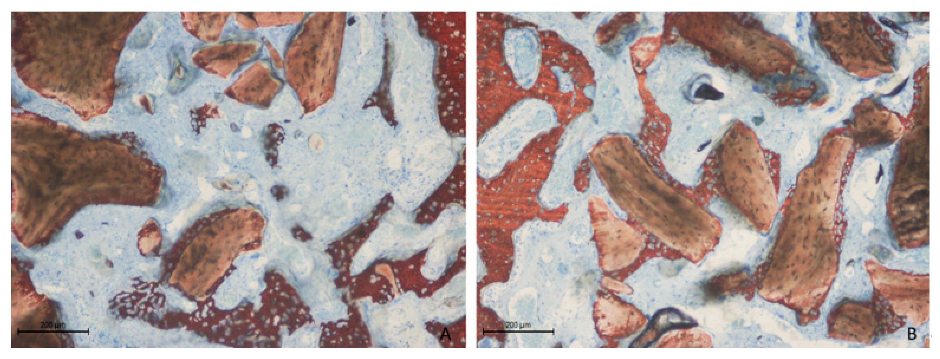 Dentistry 13 00019 g004