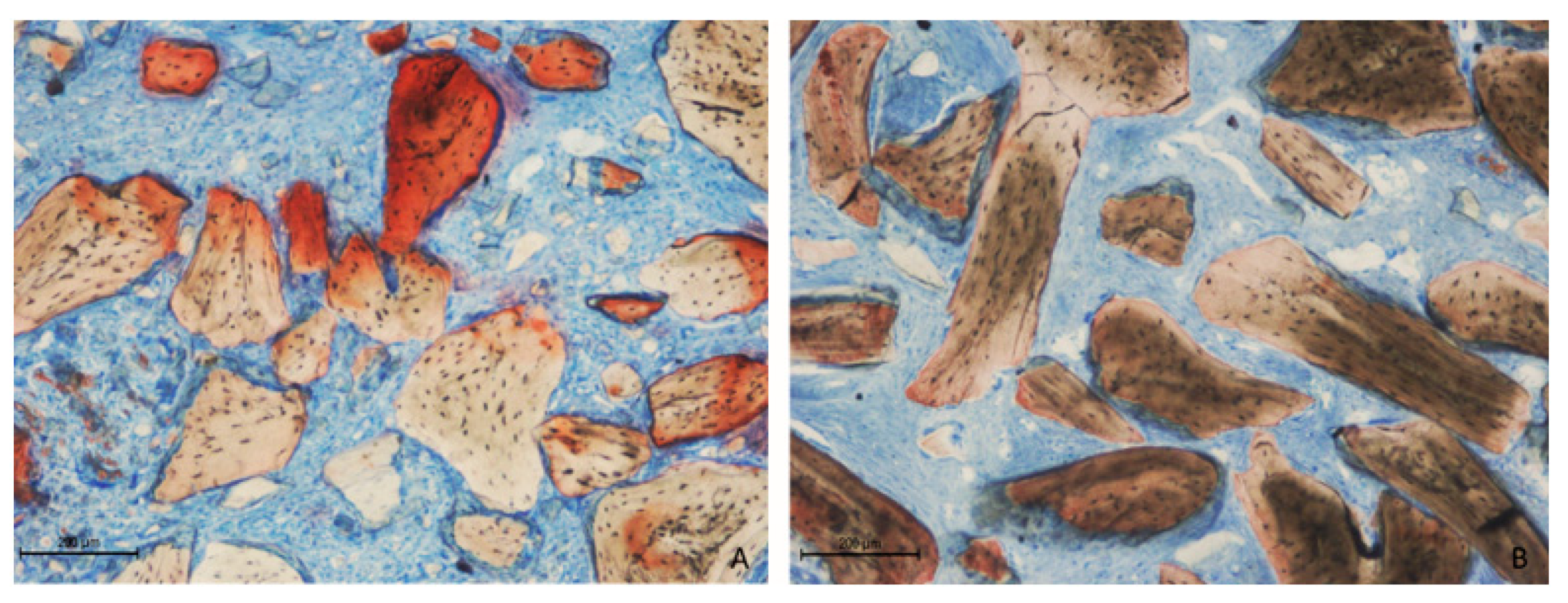 Dentistry 13 00019 g005