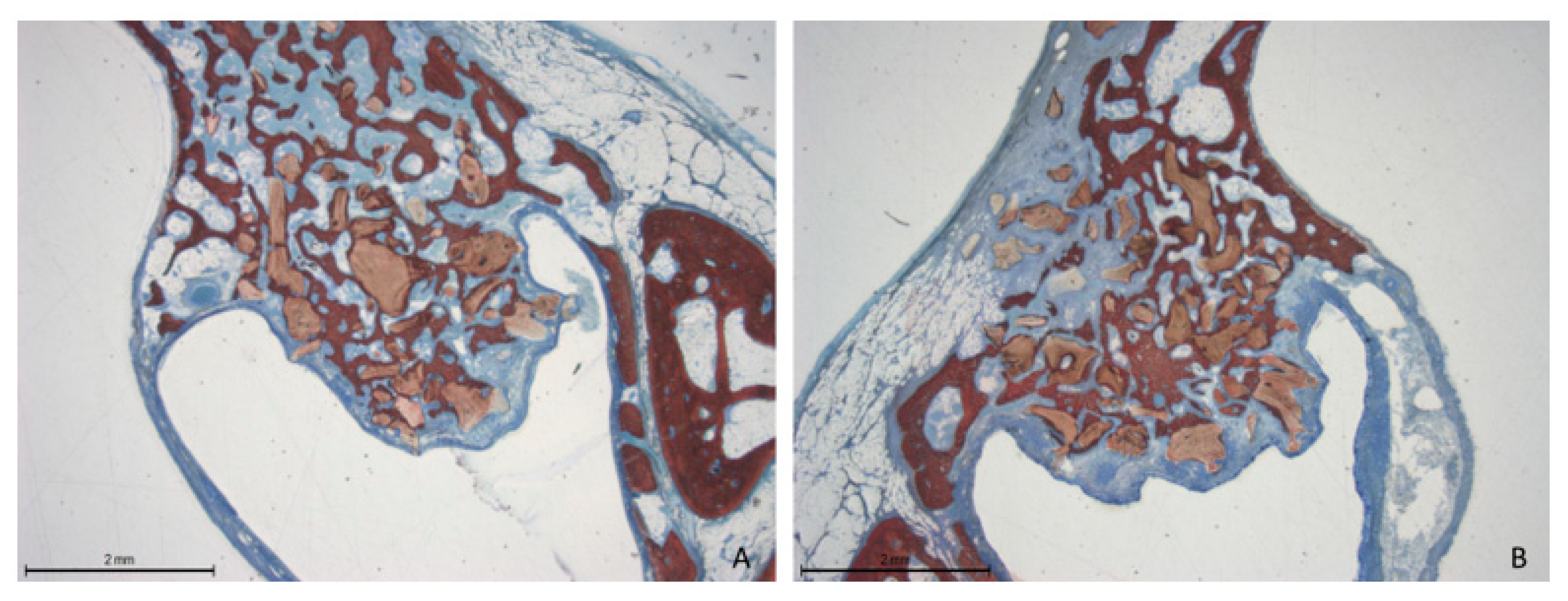 Dentistry 13 00019 g008