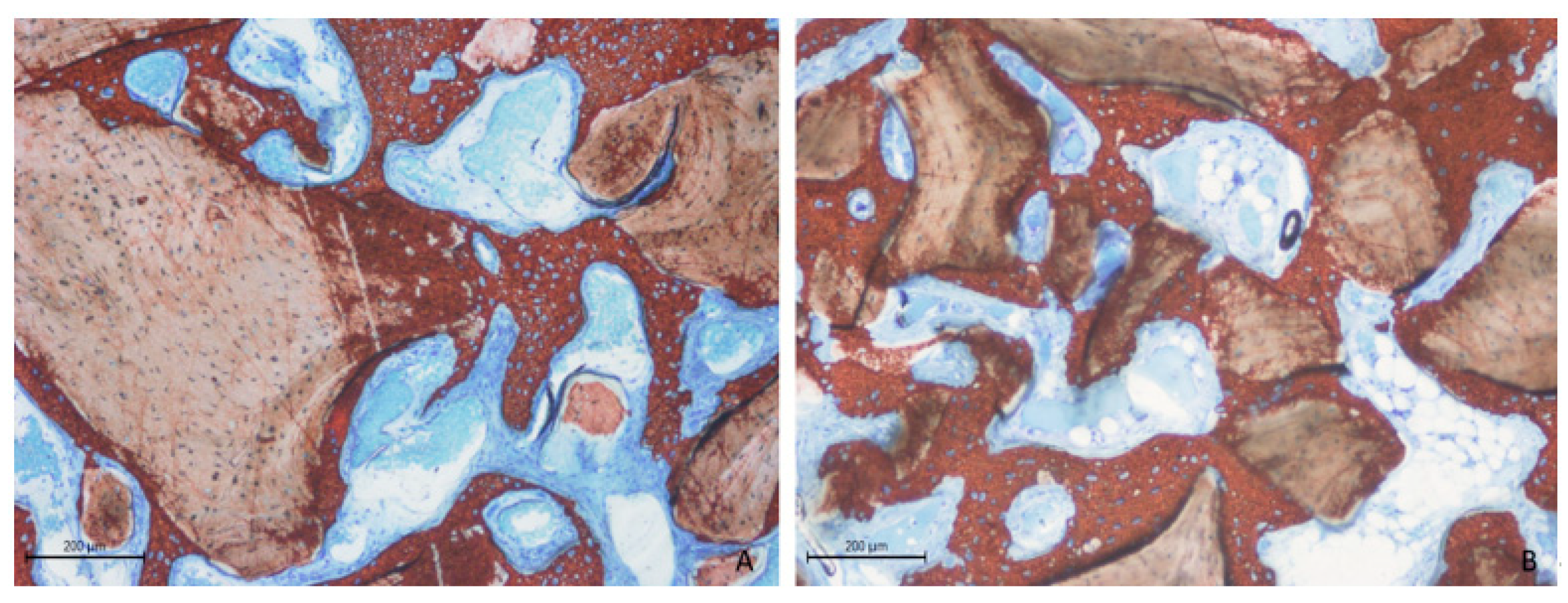 Dentistry 13 00019 g009