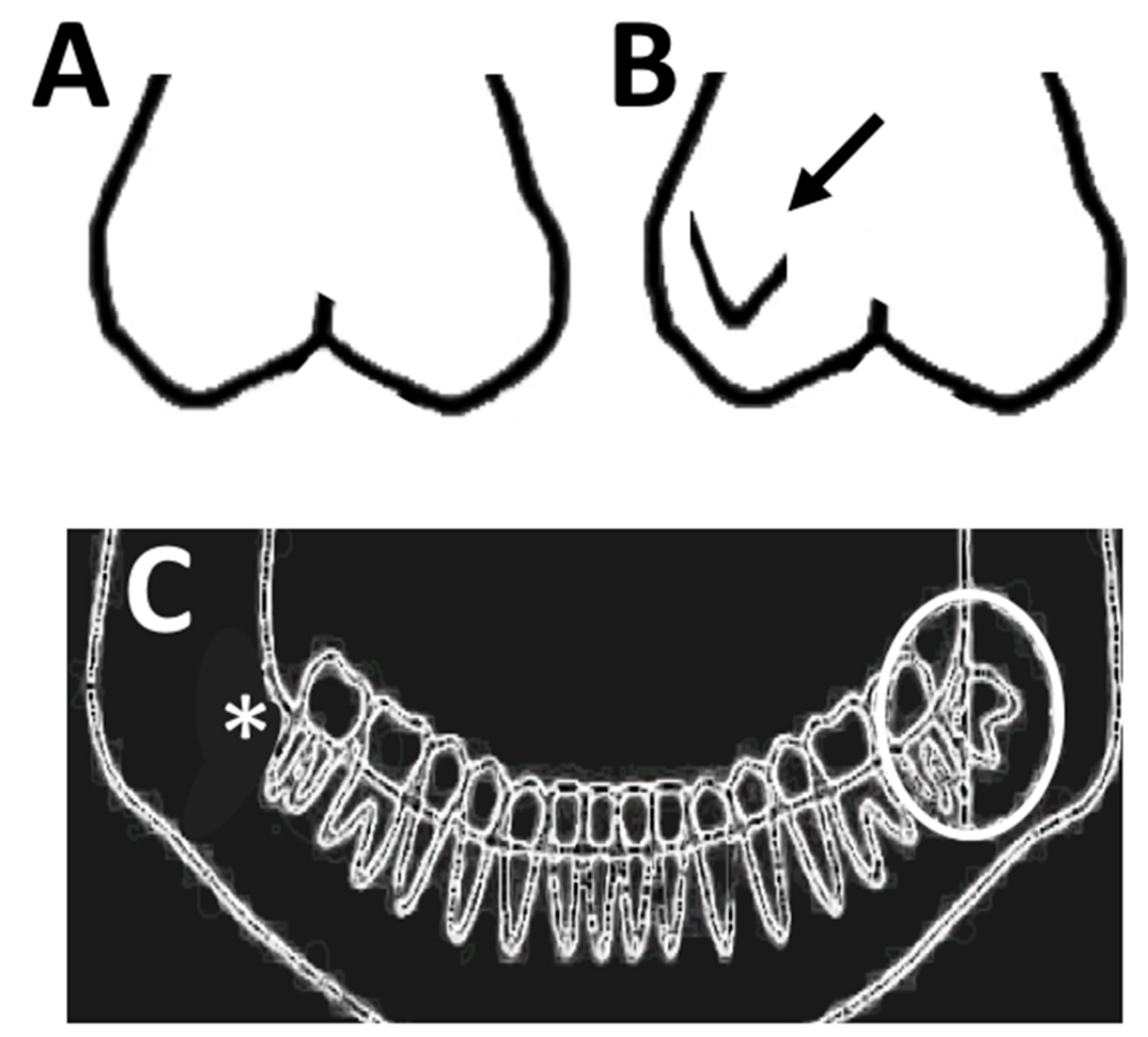 Dentistry 13 00023 g001