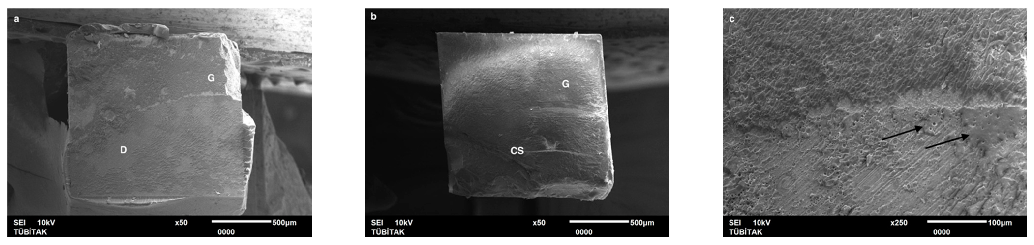 Dentistry 13 00041 g003