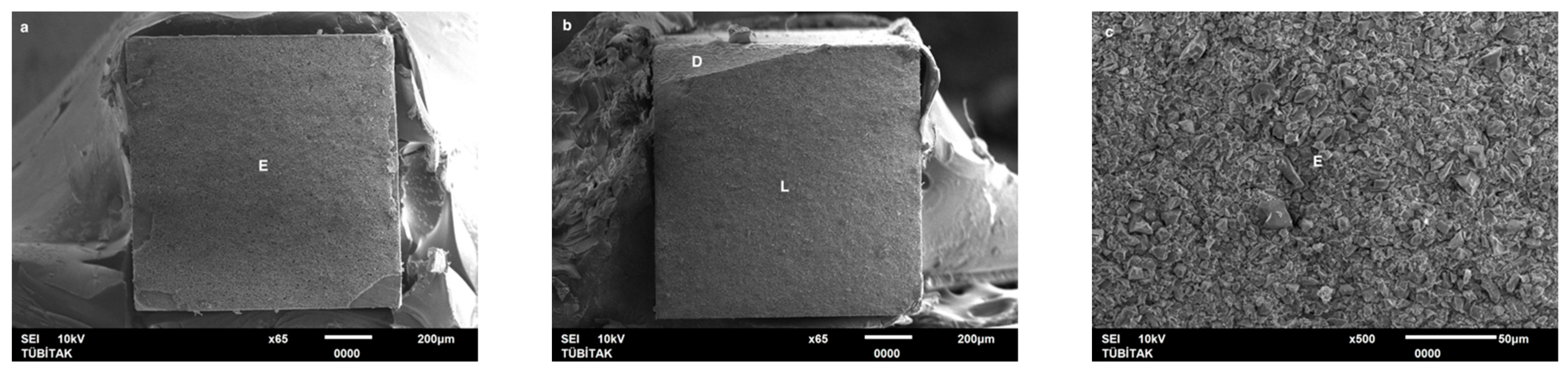 Dentistry 13 00041 g005