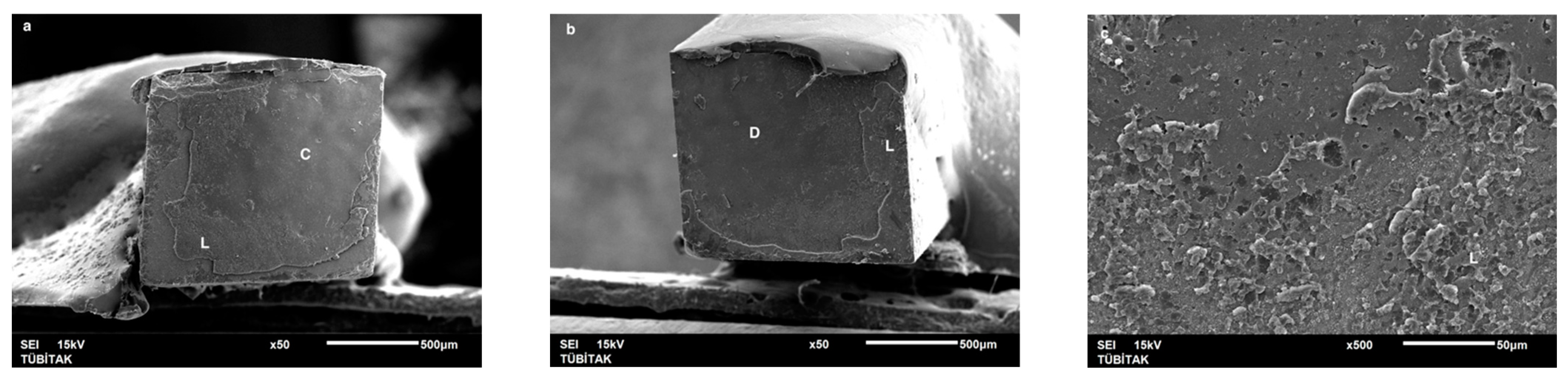 Dentistry 13 00041 g008