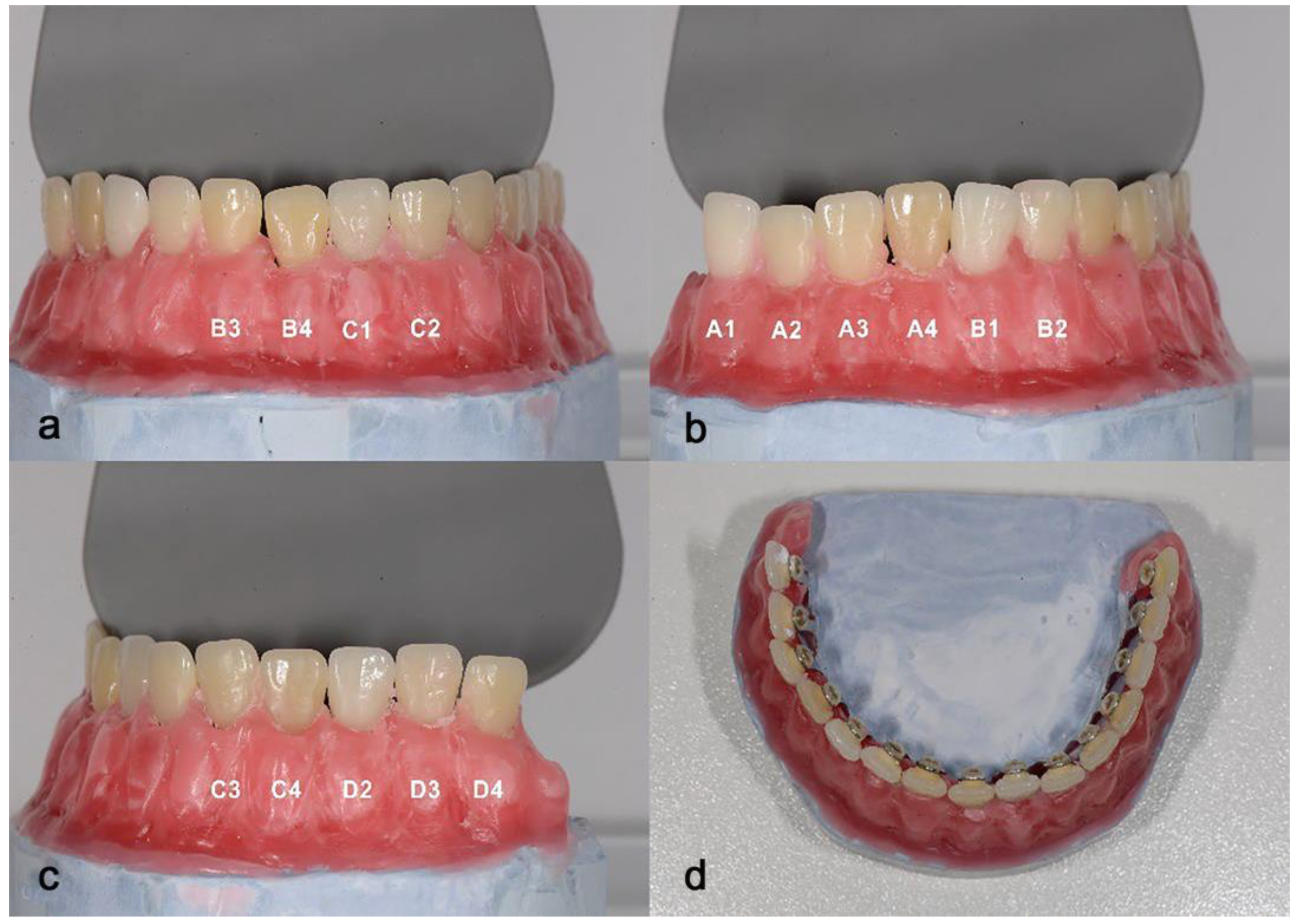 Dentistry 13 00043 g001