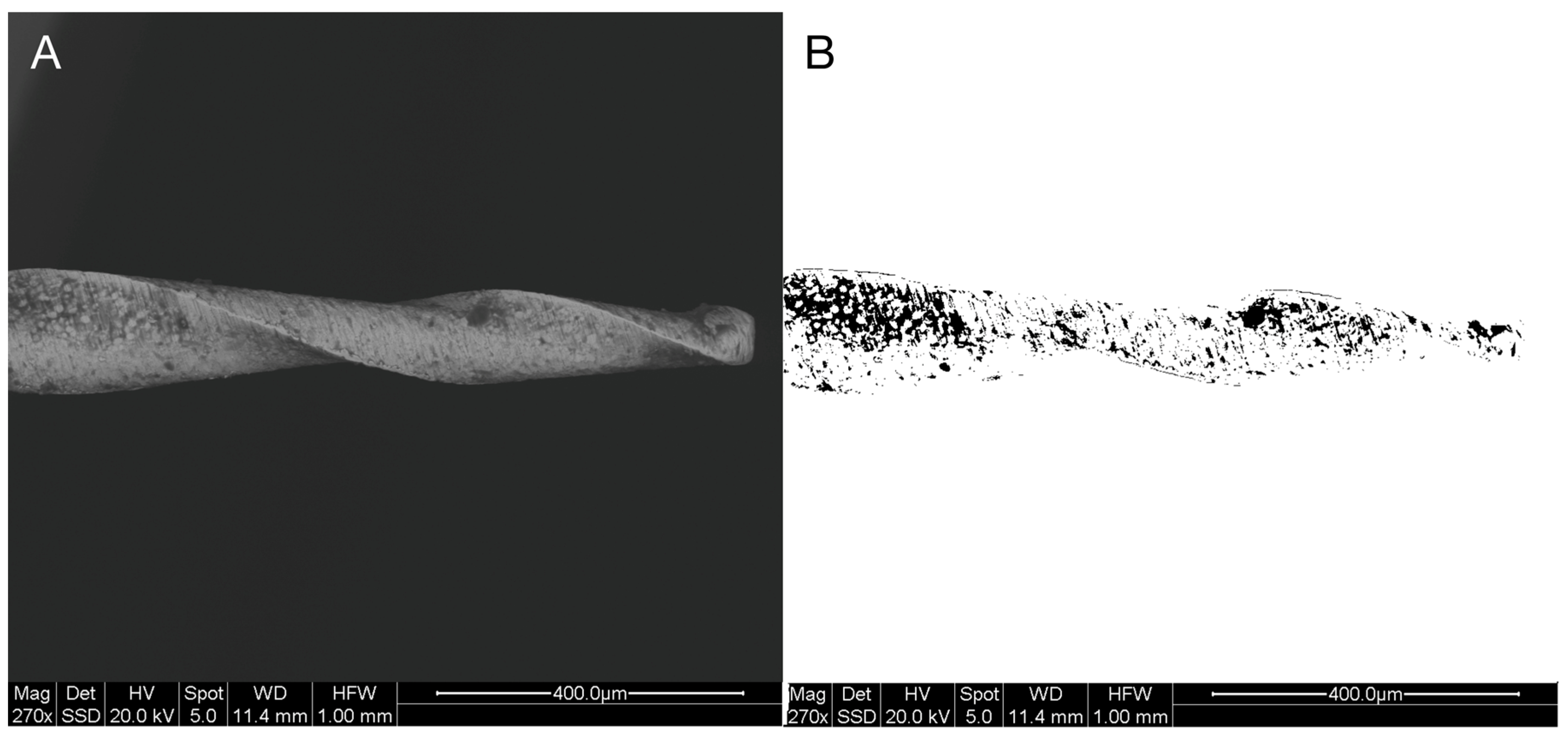 Dentistry 13 00049 g001