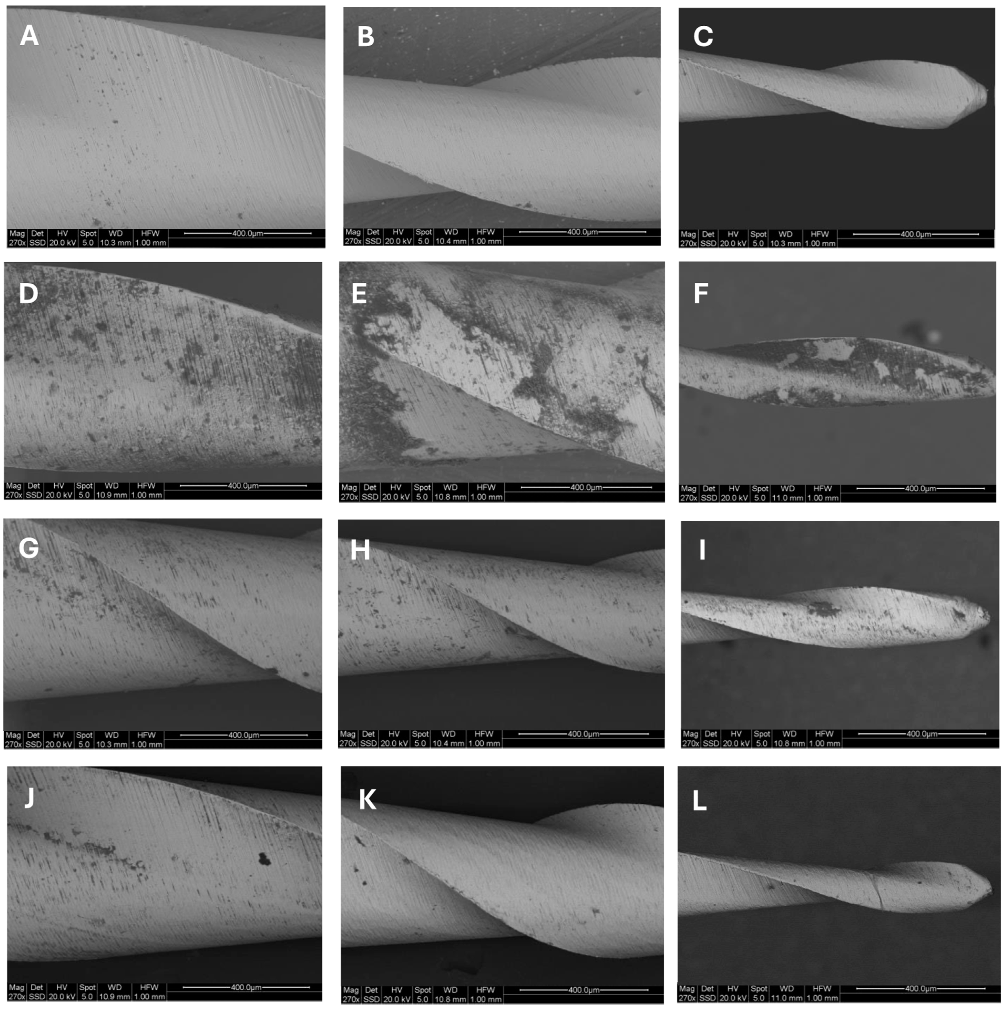 Dentistry 13 00049 g002
