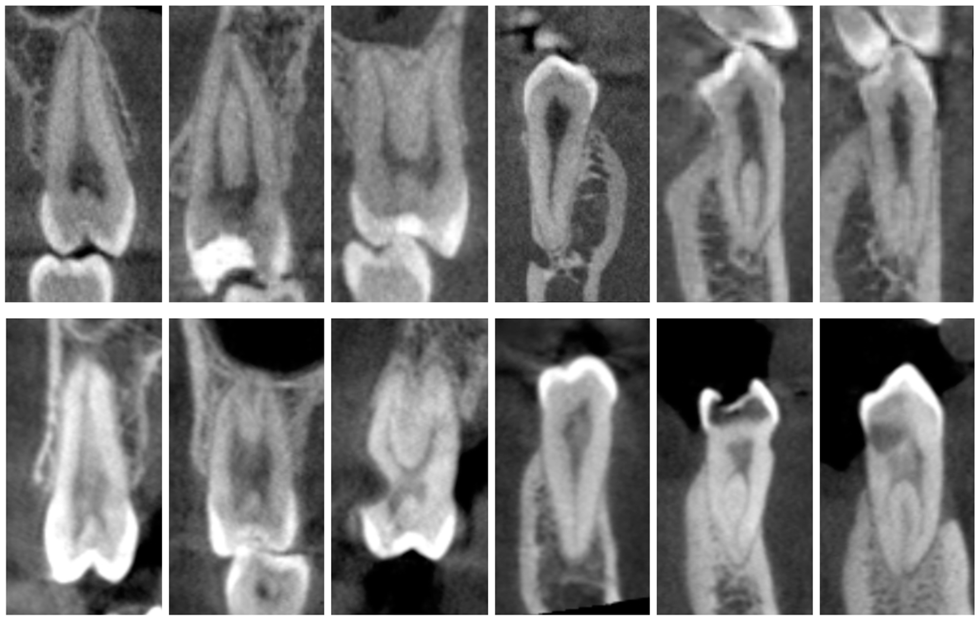 Dentistry 13 00050 g001