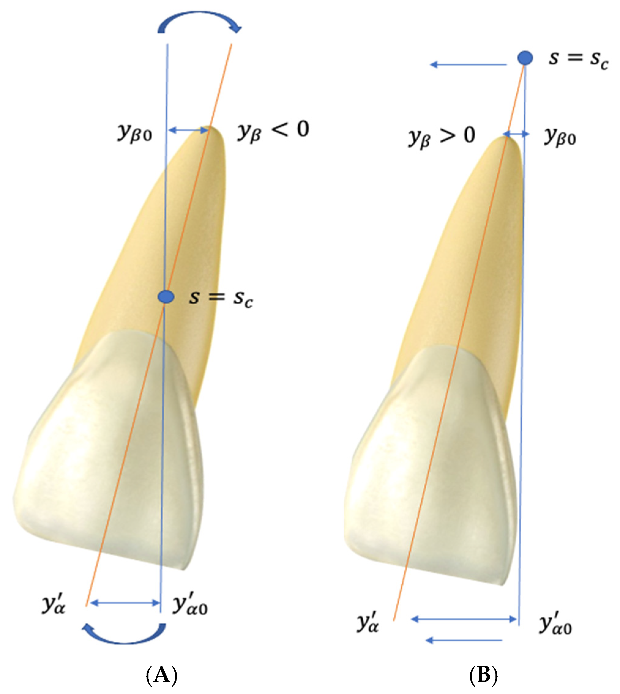 Dentistry 13 00055 g001