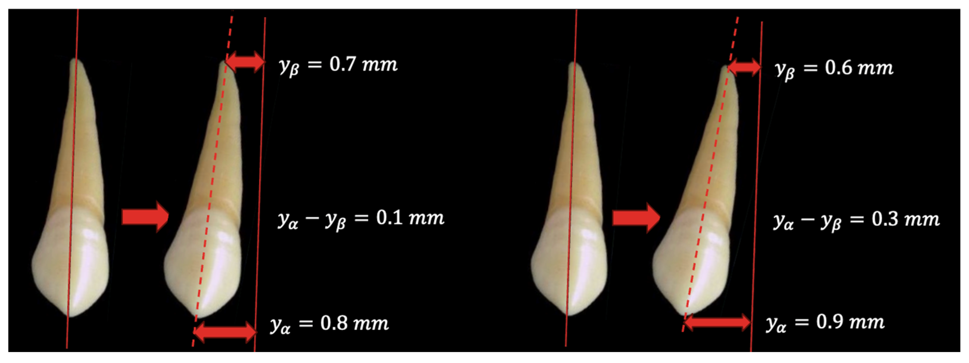 Dentistry 13 00055 g006