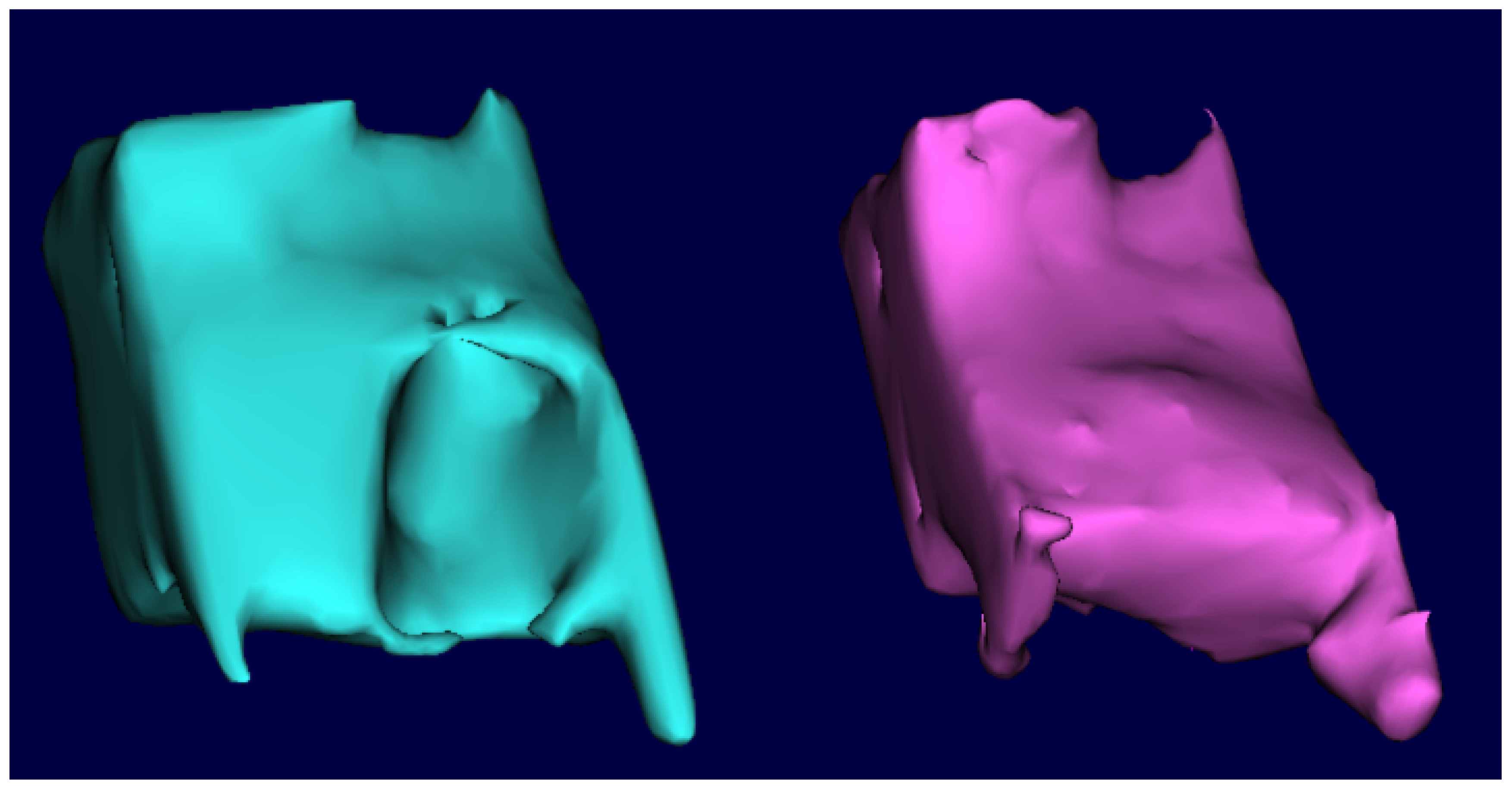 Dentistry 13 00058 g005