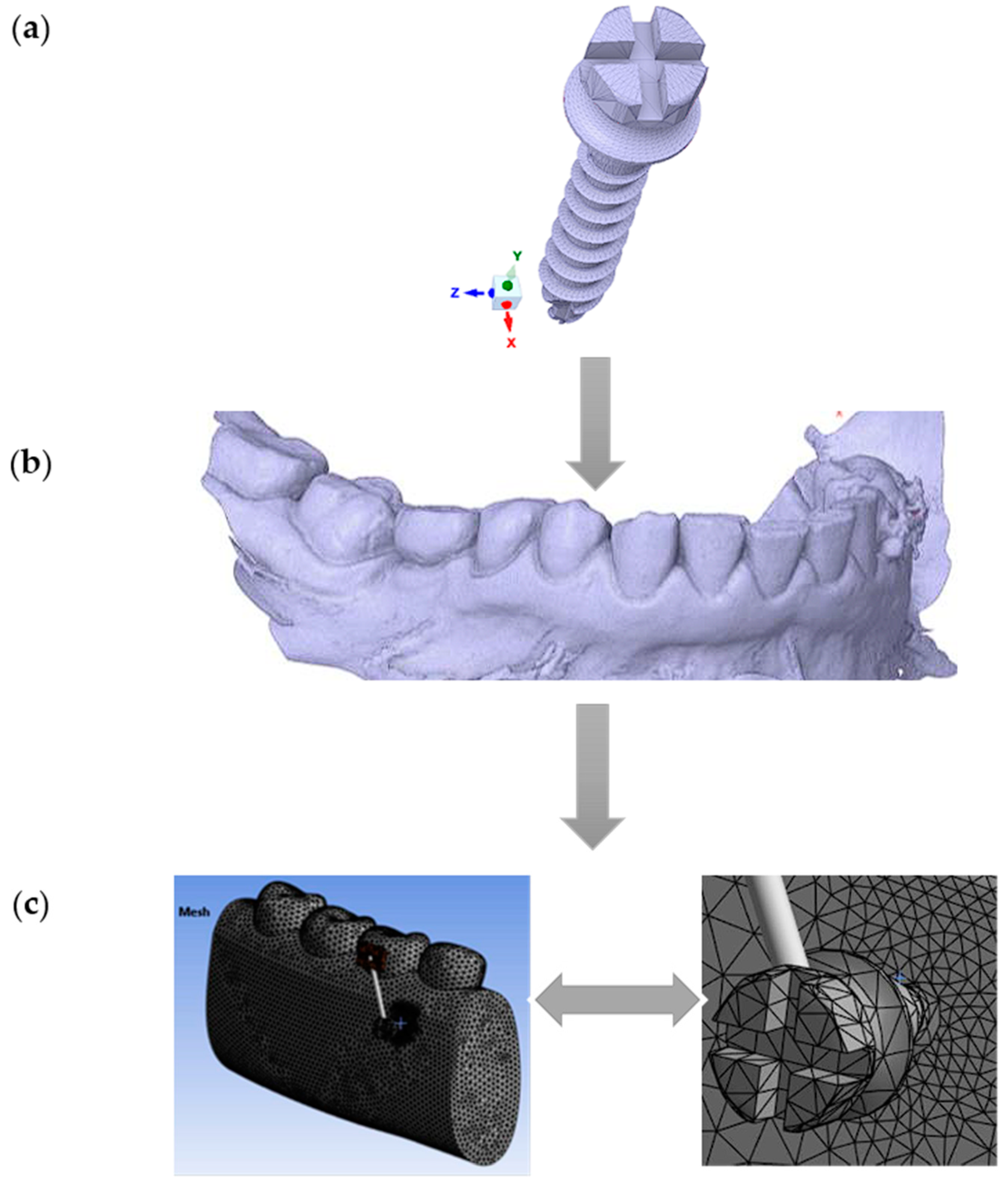 Dentistry 13 00071 g001