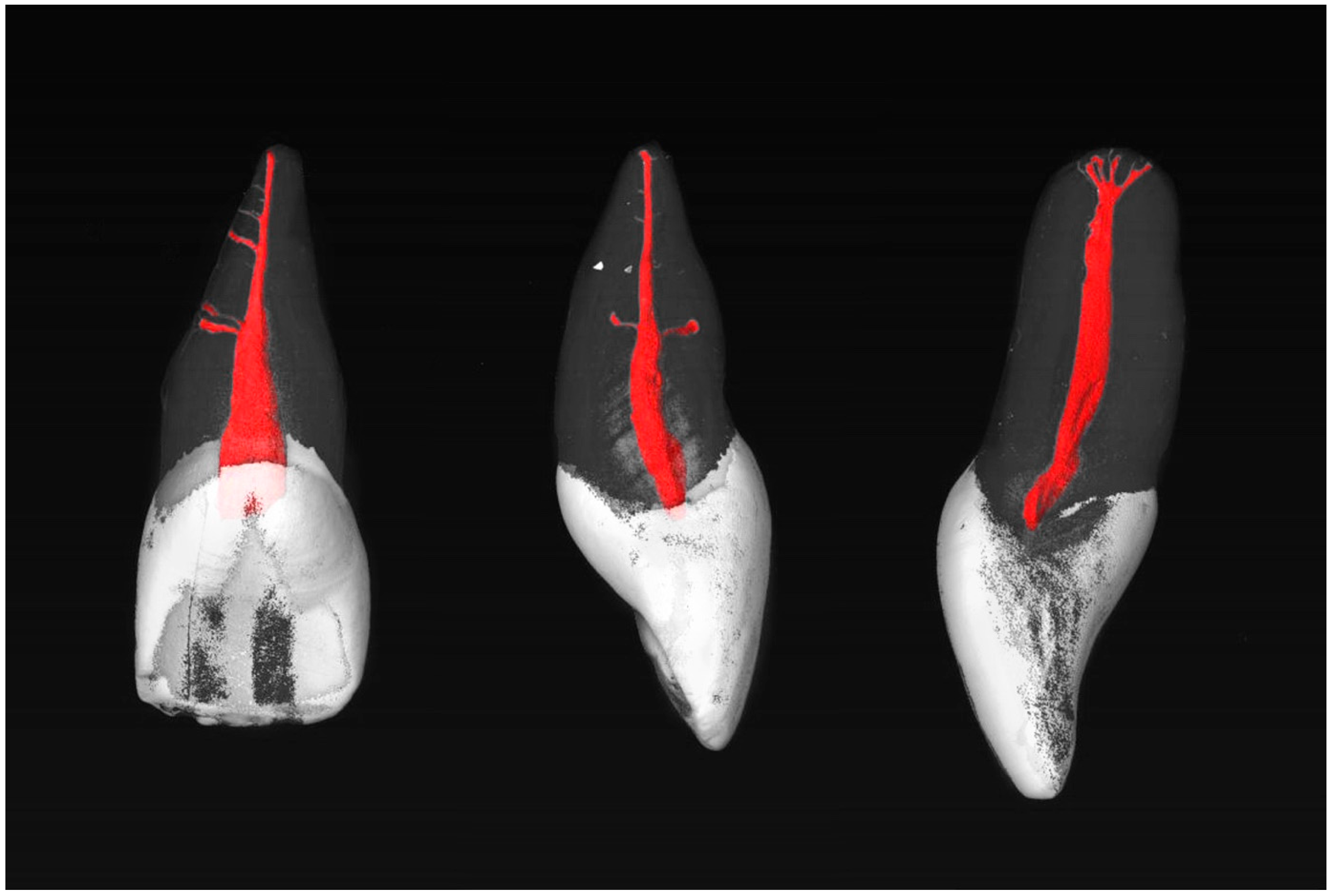 Dentistry 13 00072 g002