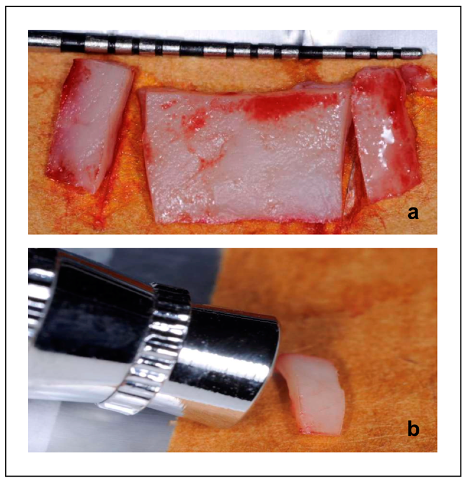 Dentistry 13 00077 g002