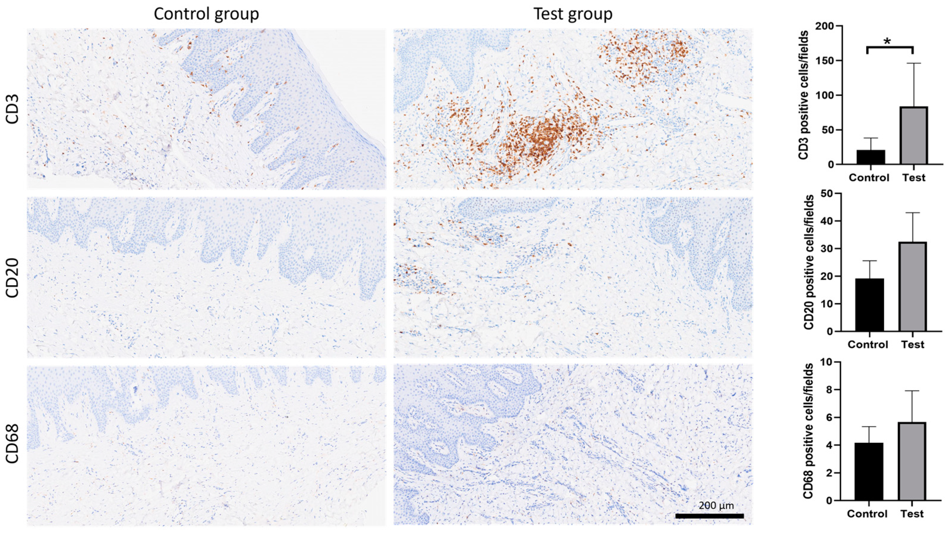 Dentistry 13 00077 g005