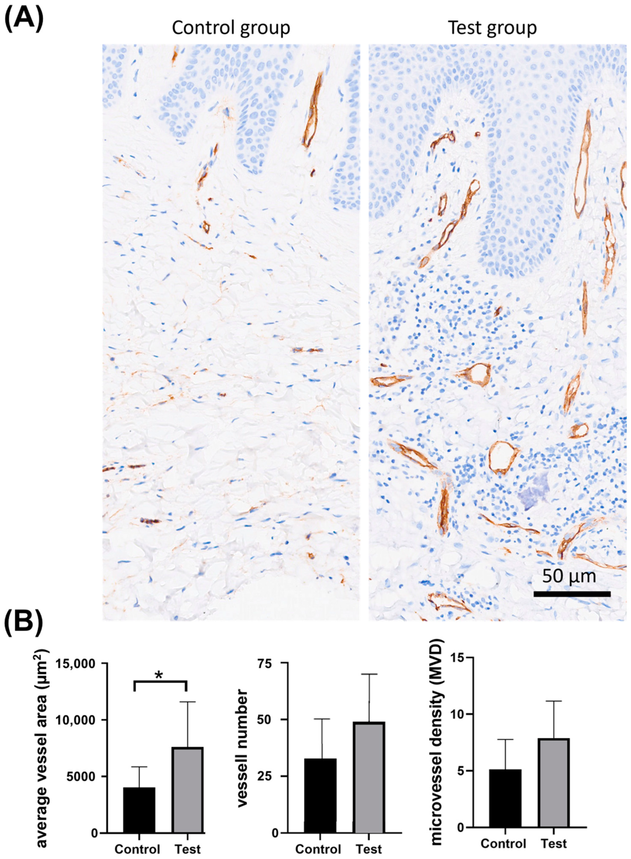 Dentistry 13 00077 g006