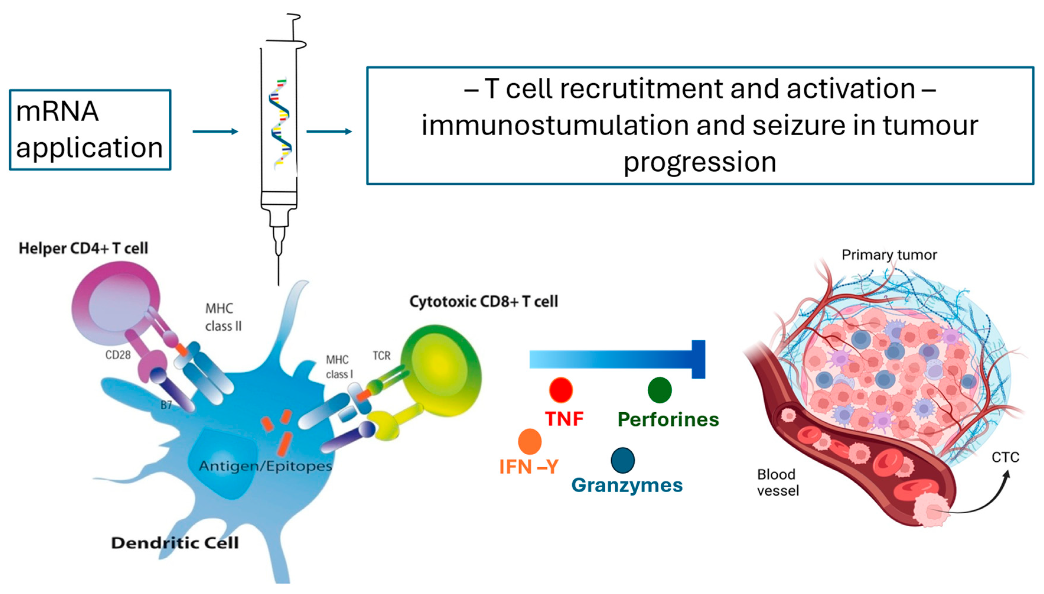 Dentistry 13 00079 g002