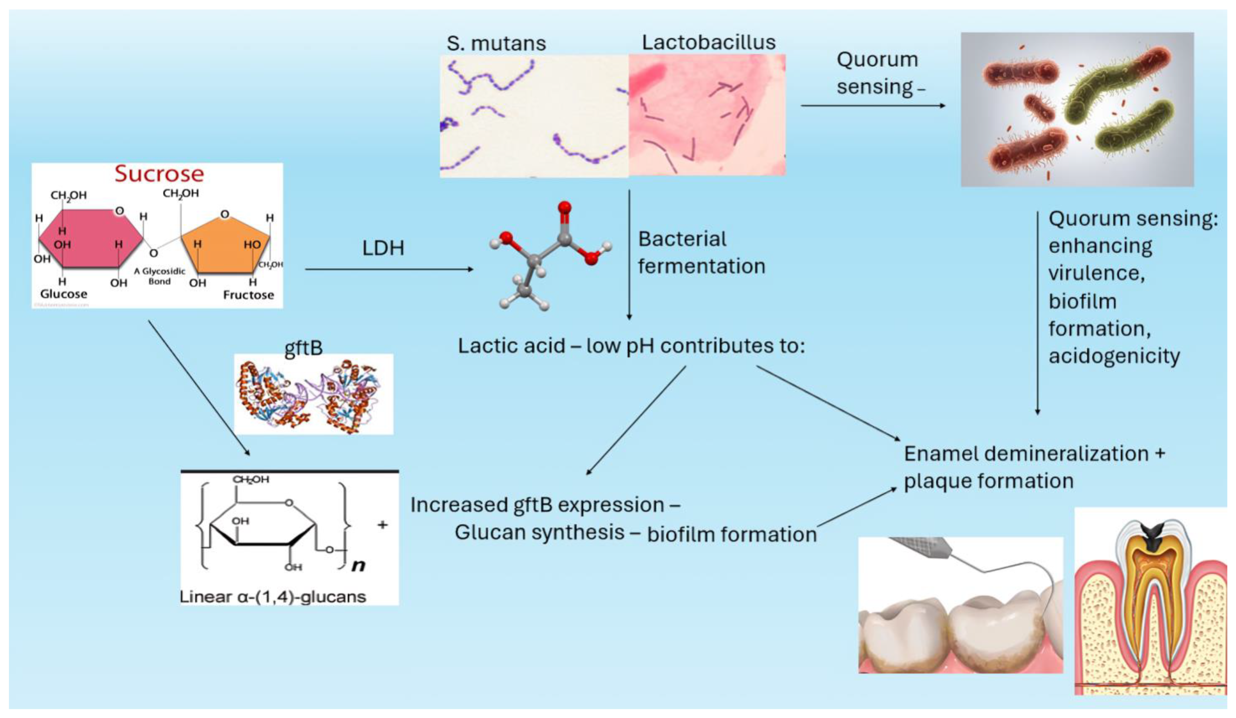 Dentistry 13 00079 g004