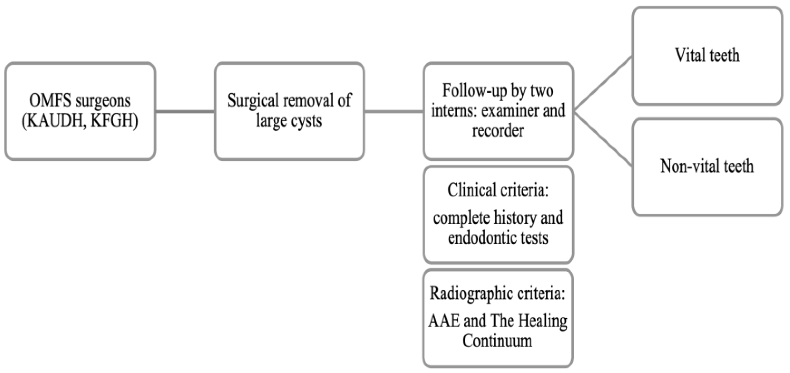 Dentistry 13 00083 g001