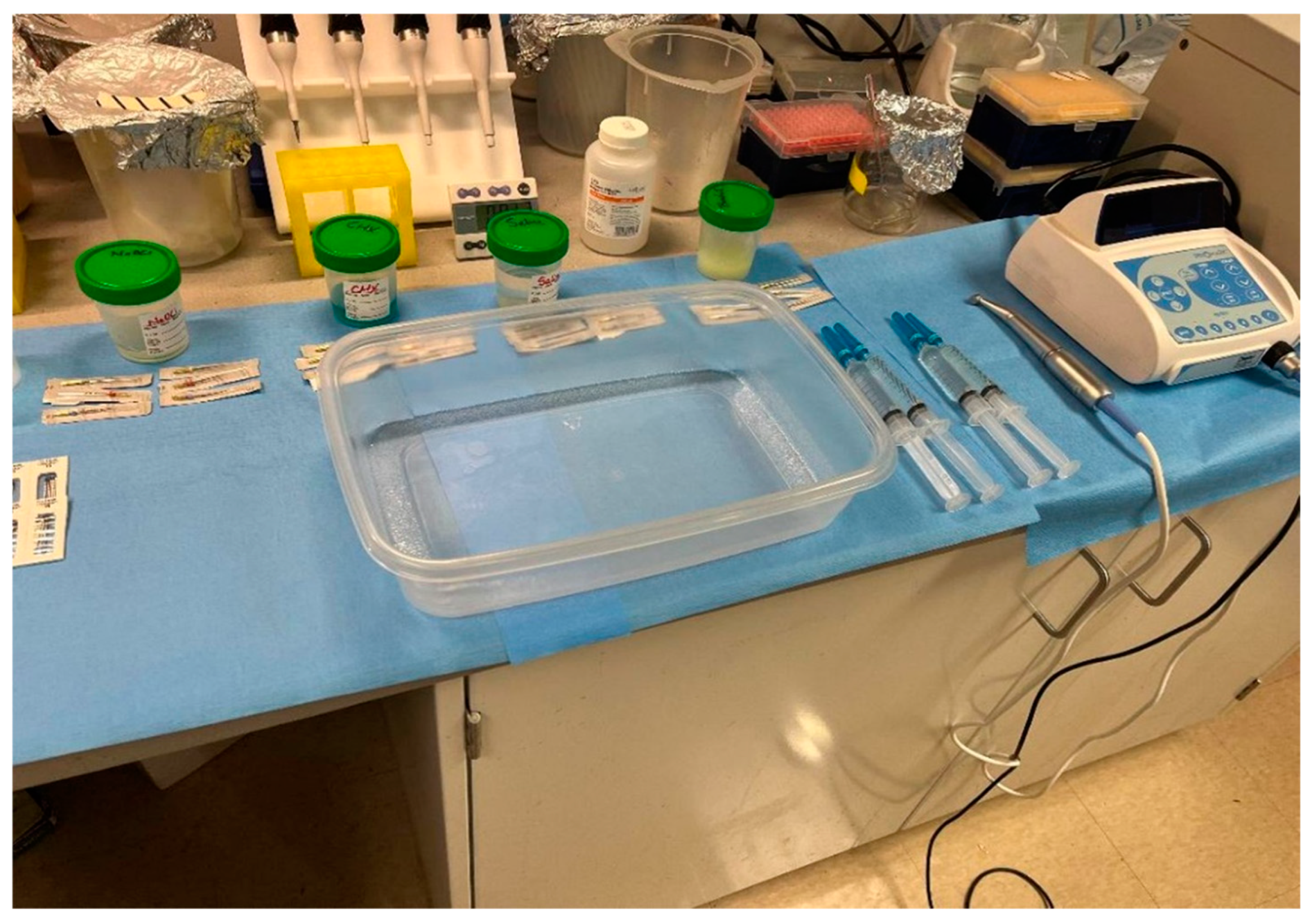 Dentistry 13 00087 g001