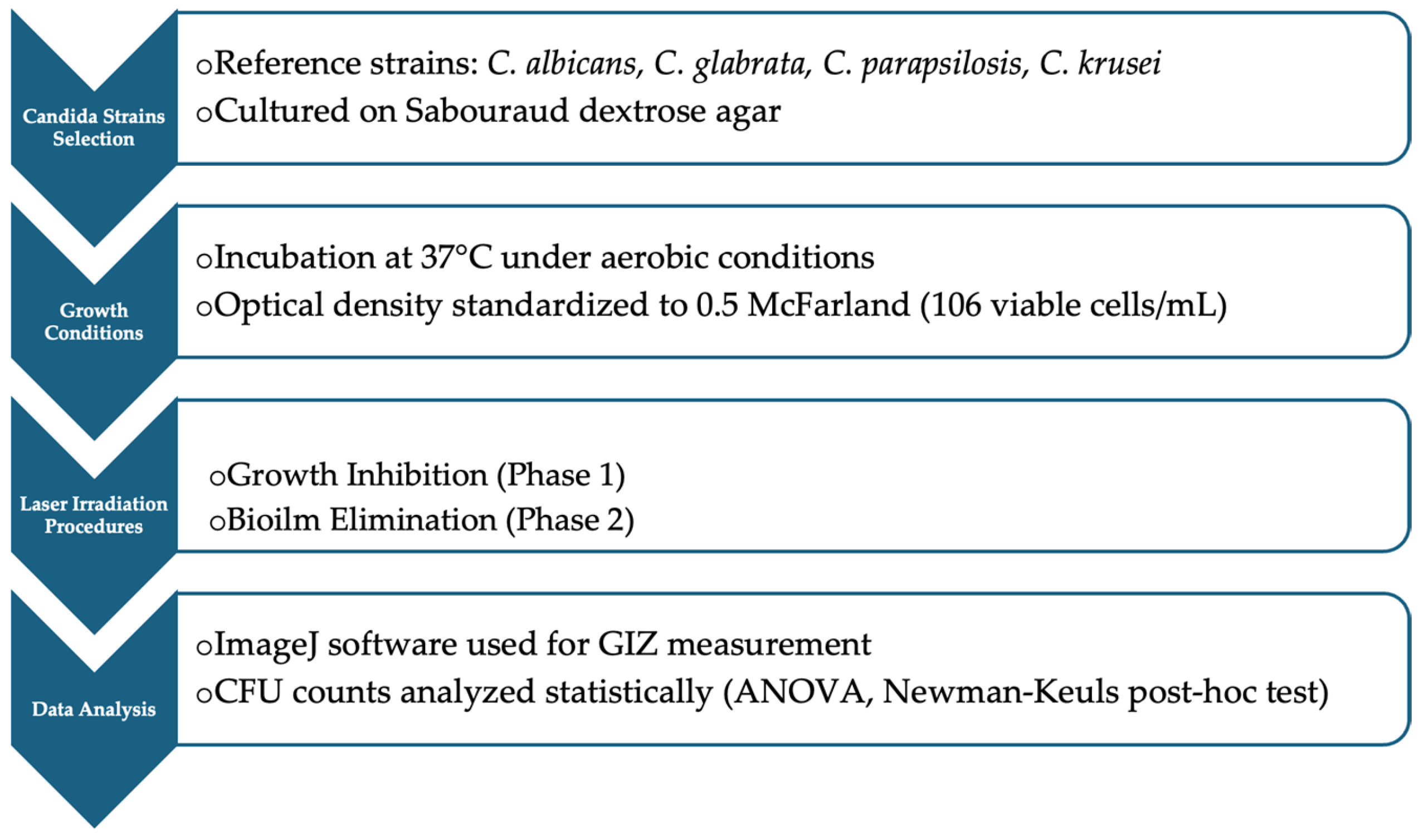 Dentistry 13 00088 g001
