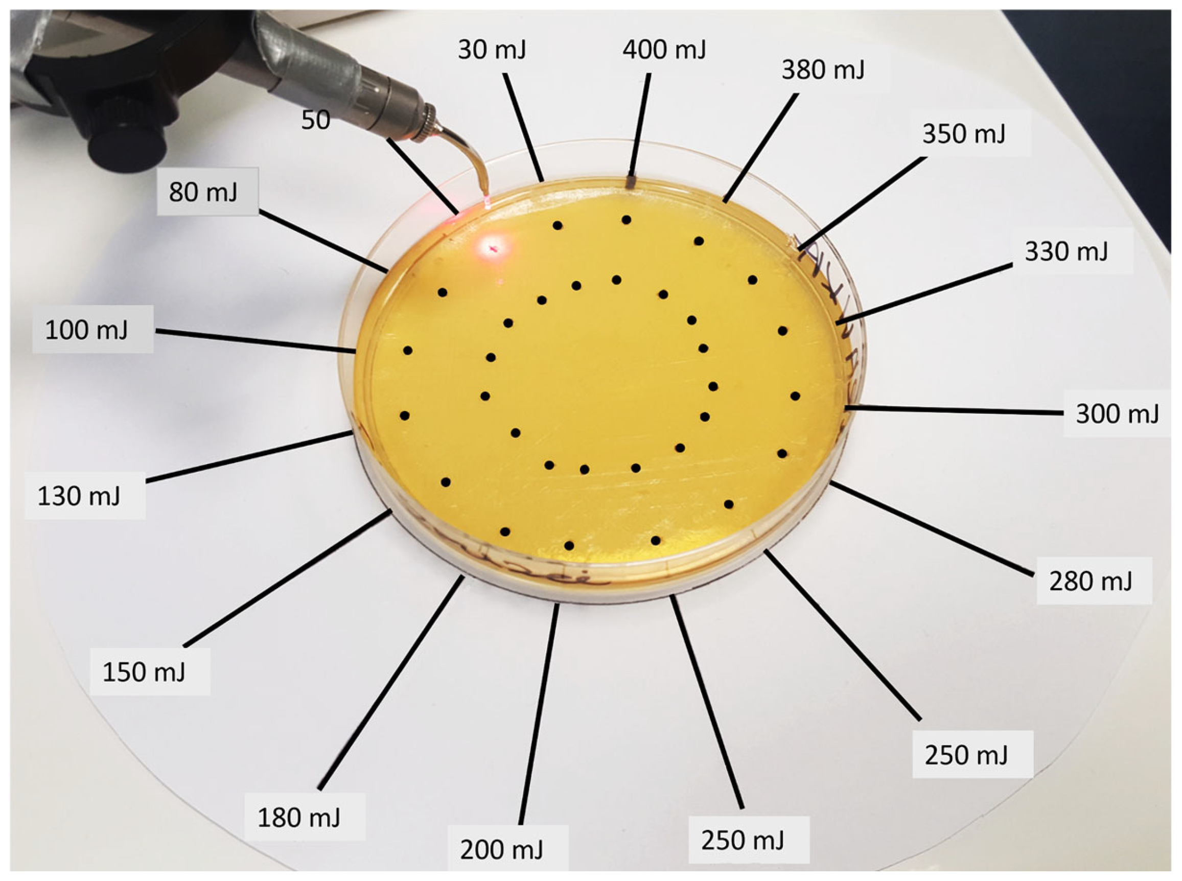 Dentistry 13 00088 g002