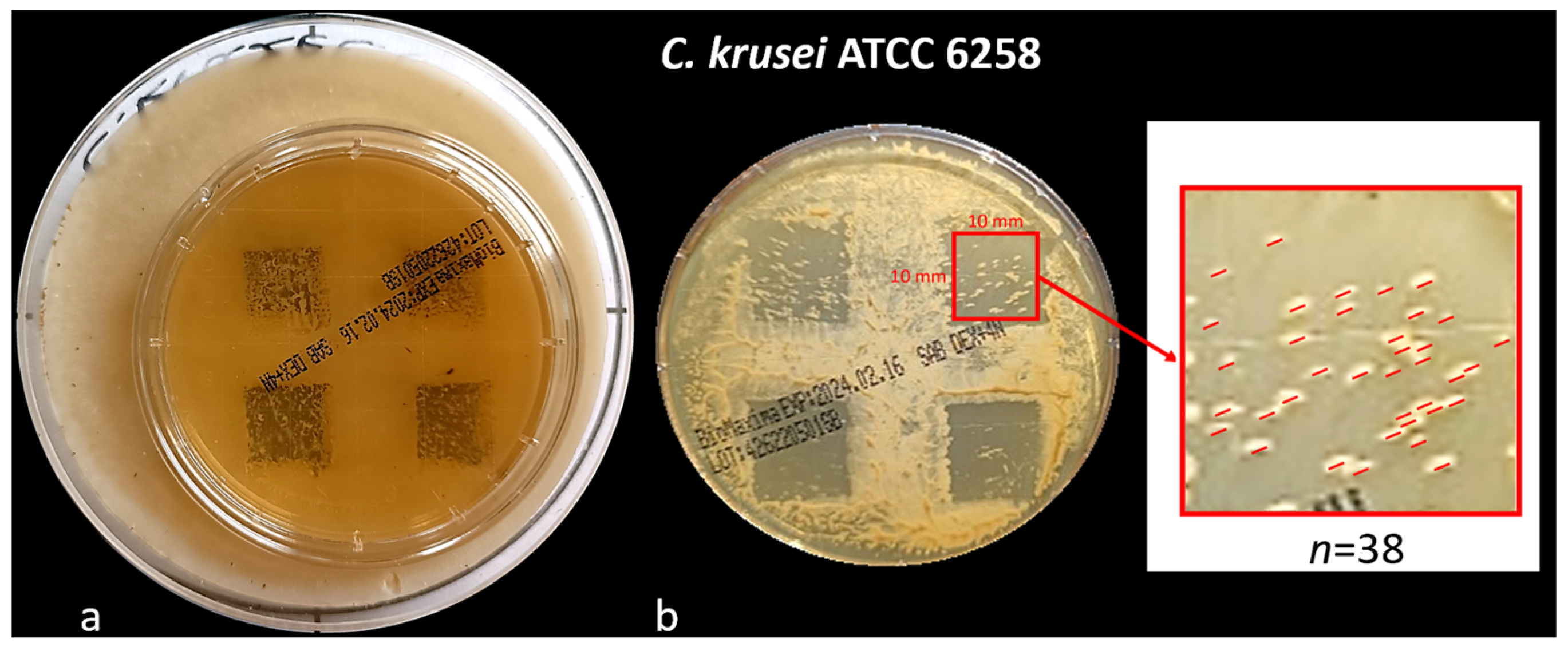 Dentistry 13 00088 g005