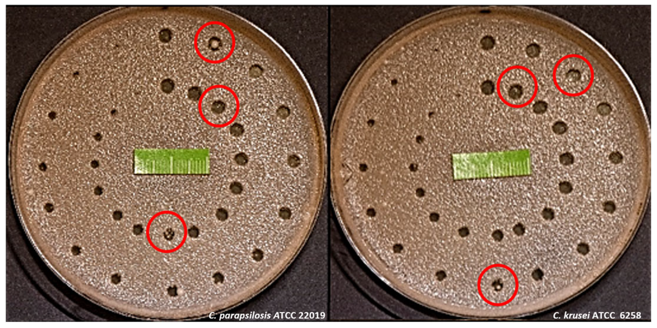 Dentistry 13 00088 g006