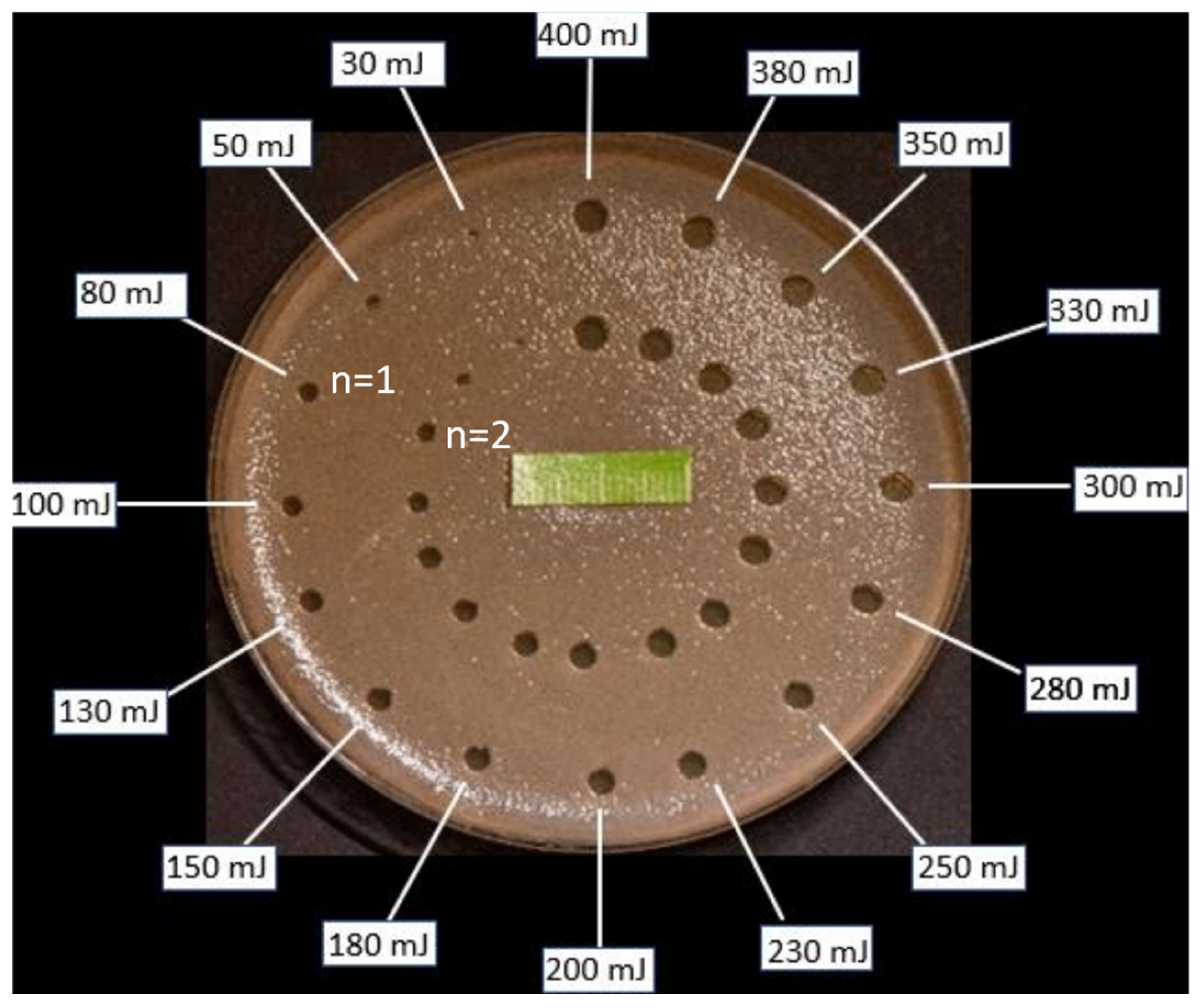 Dentistry 13 00088 g007