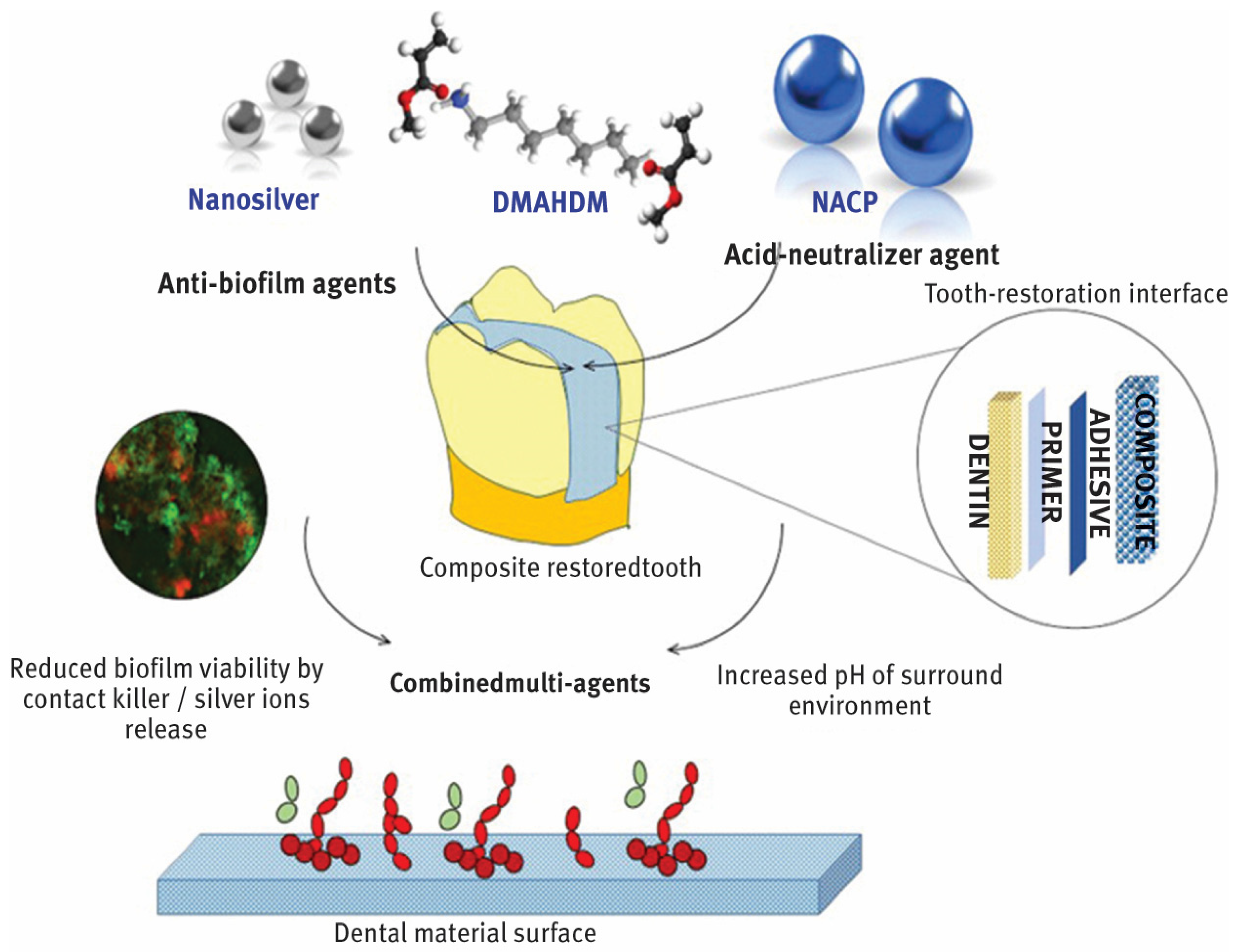 Dentistry 13 00089 g001