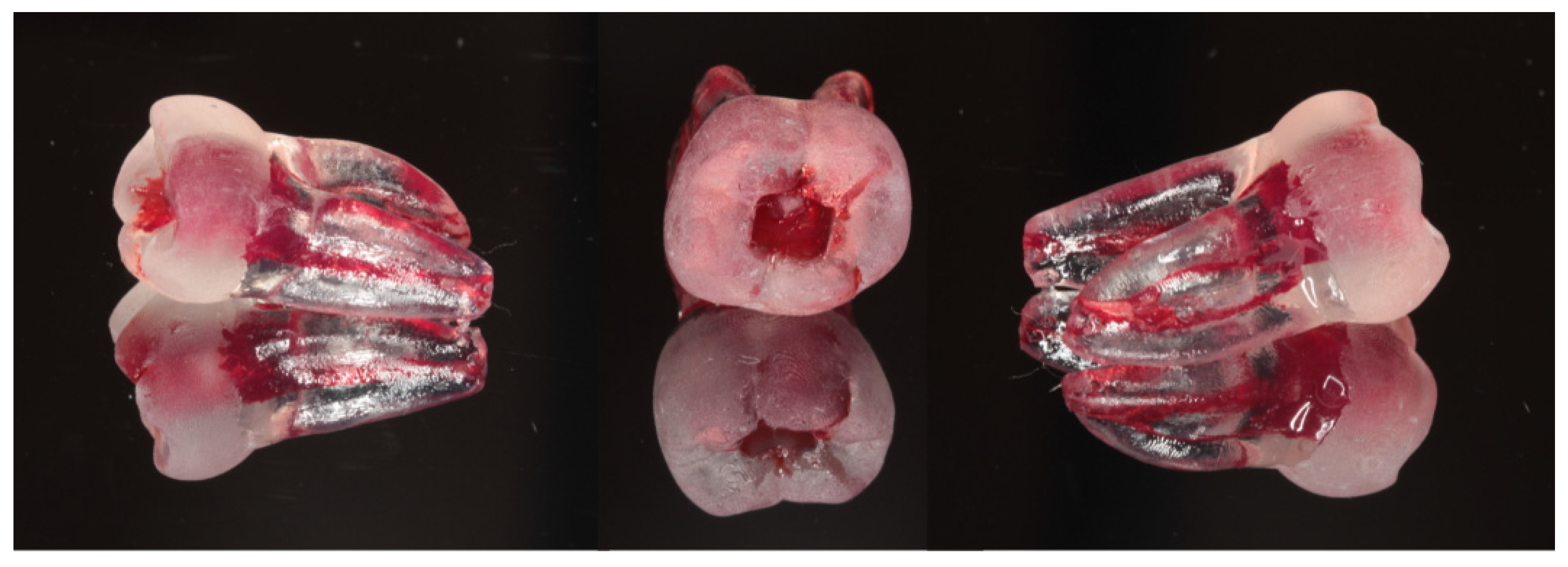 Dentistry 13 00097 g001