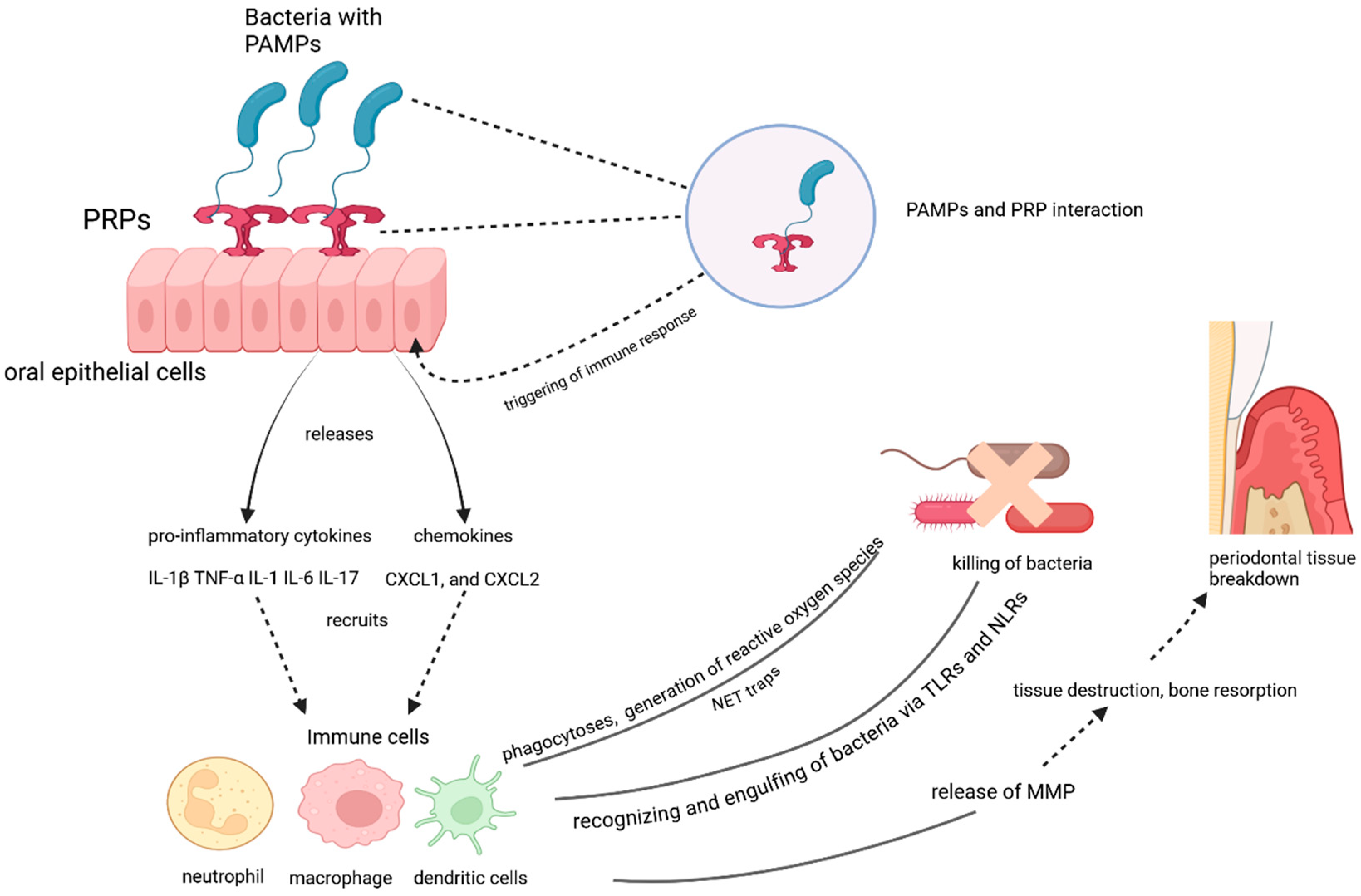Dentistry 13 00100 g001