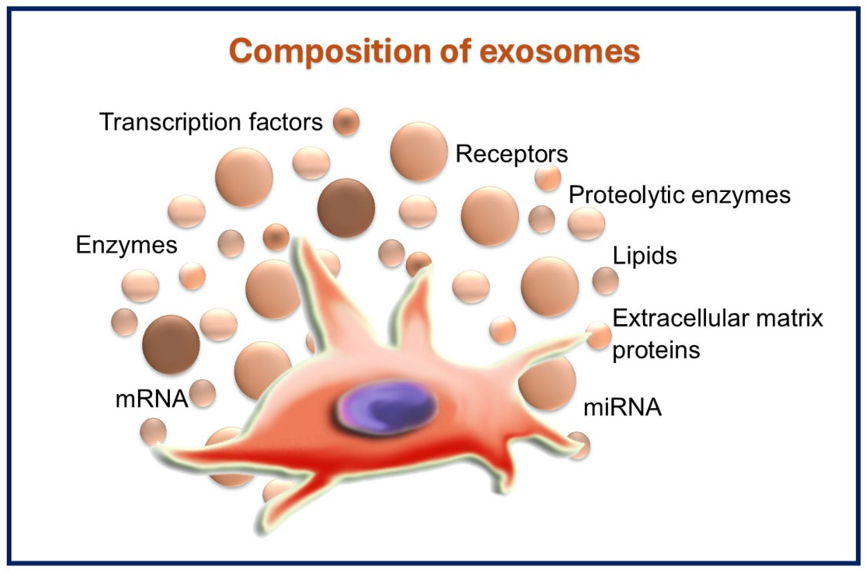 Dentistry 13 00106 g003