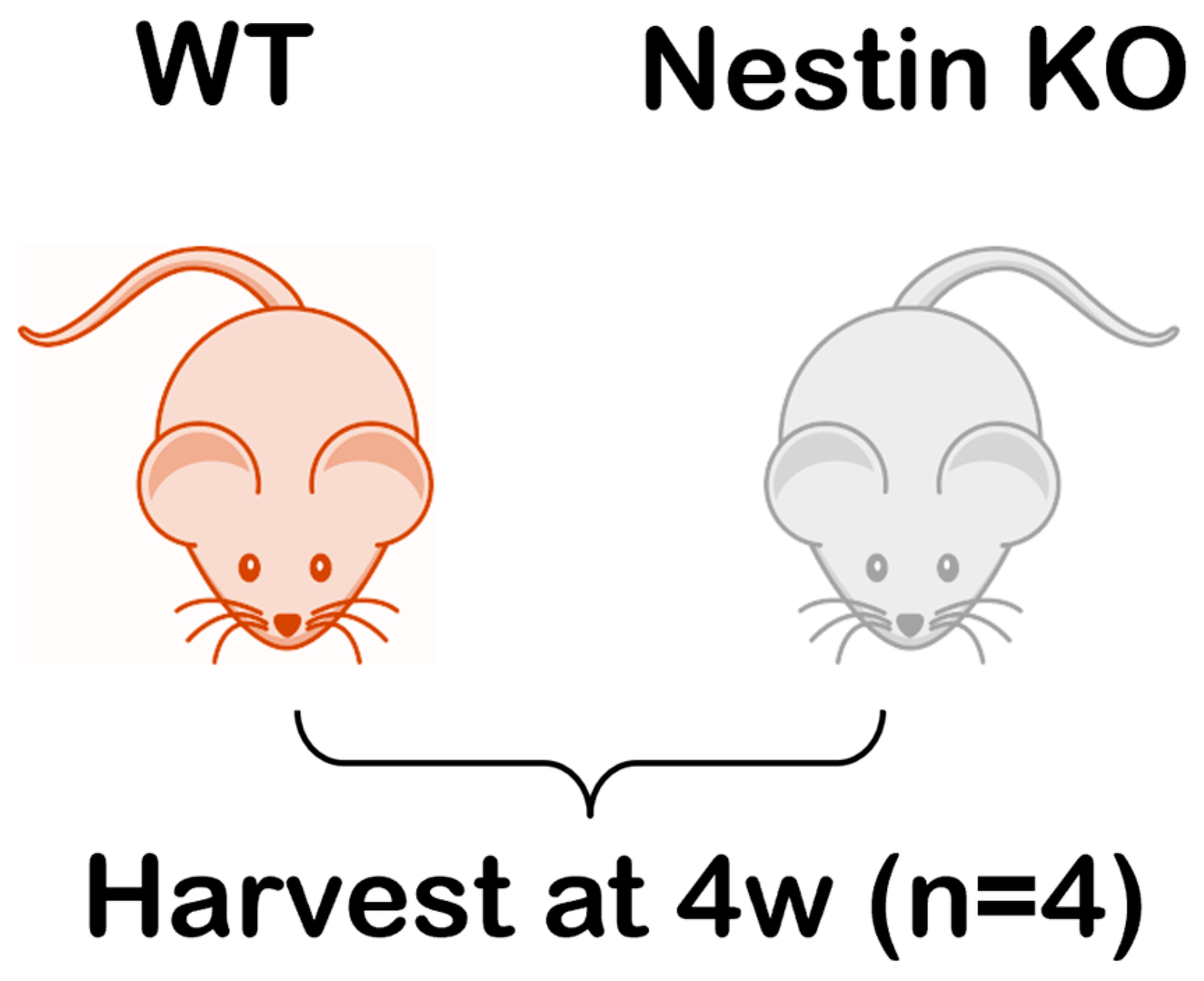 Dentistry 13 00113 g001