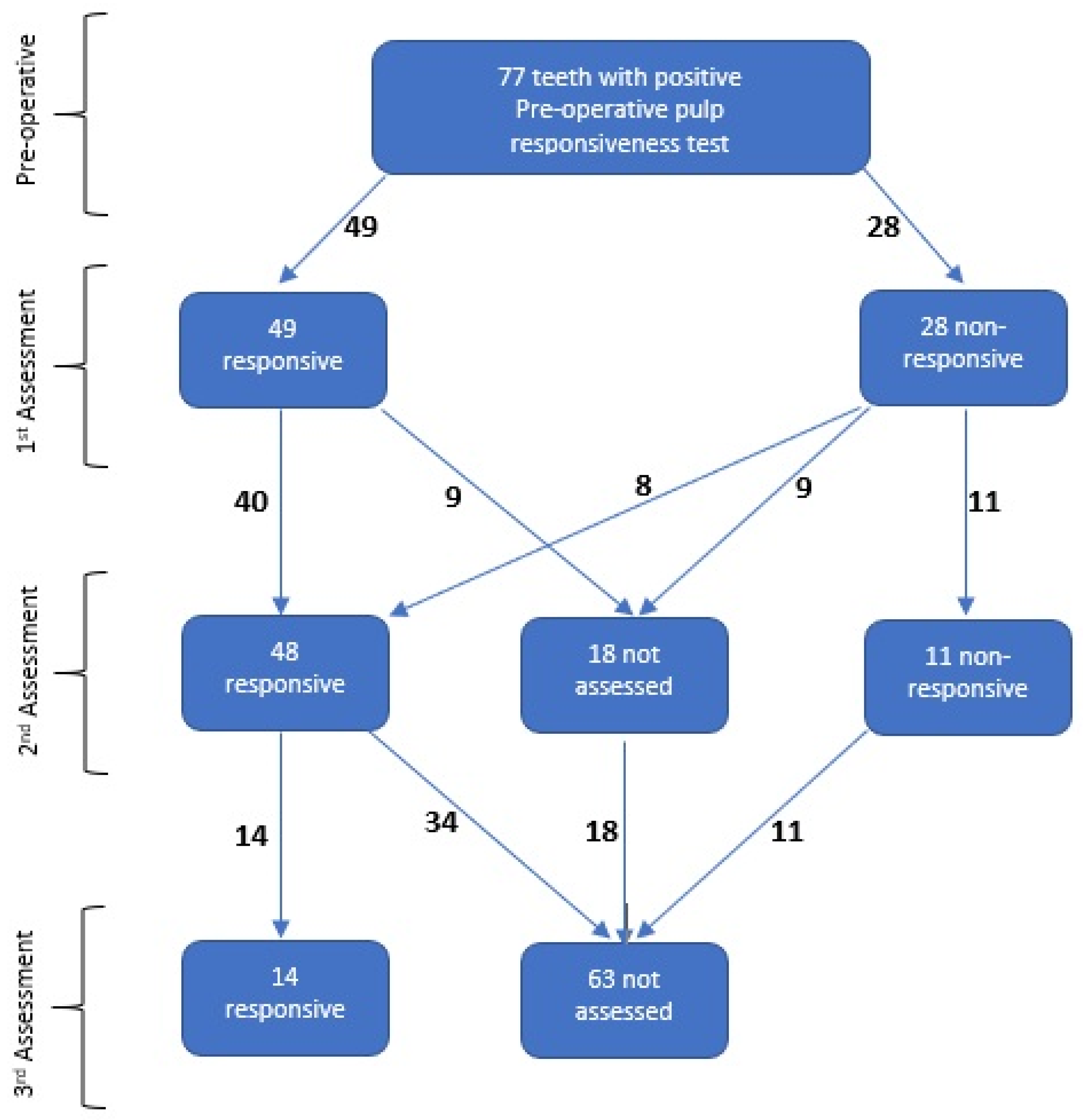 Dentistry 13 00116 g001
