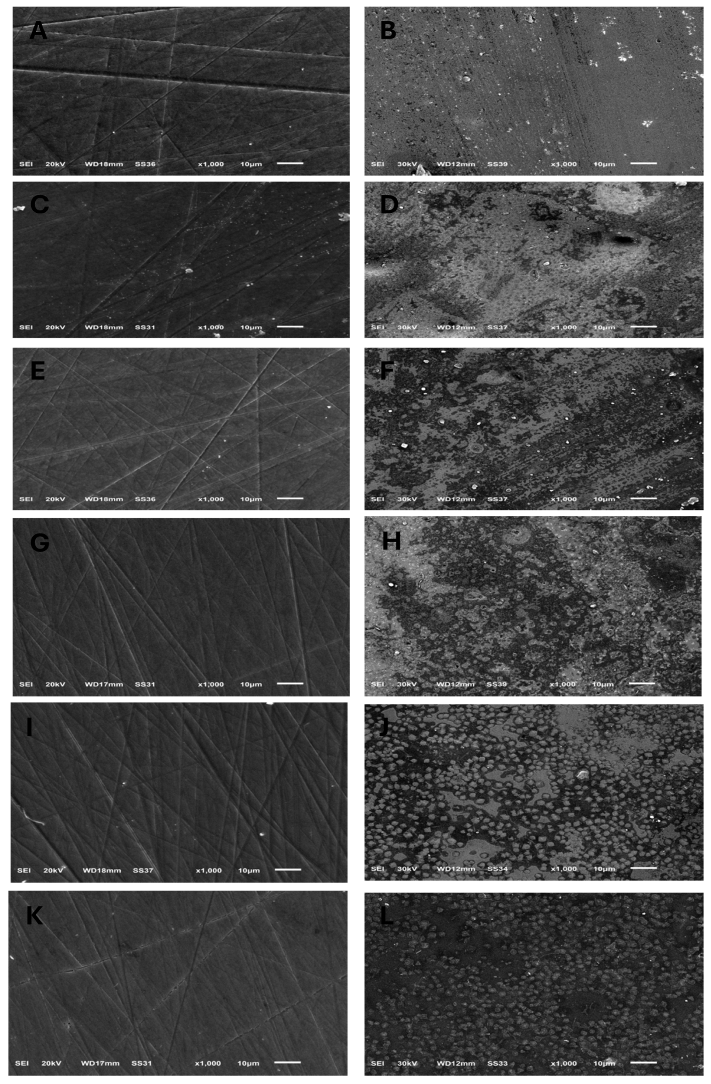 Dentistry 13 00117 g001