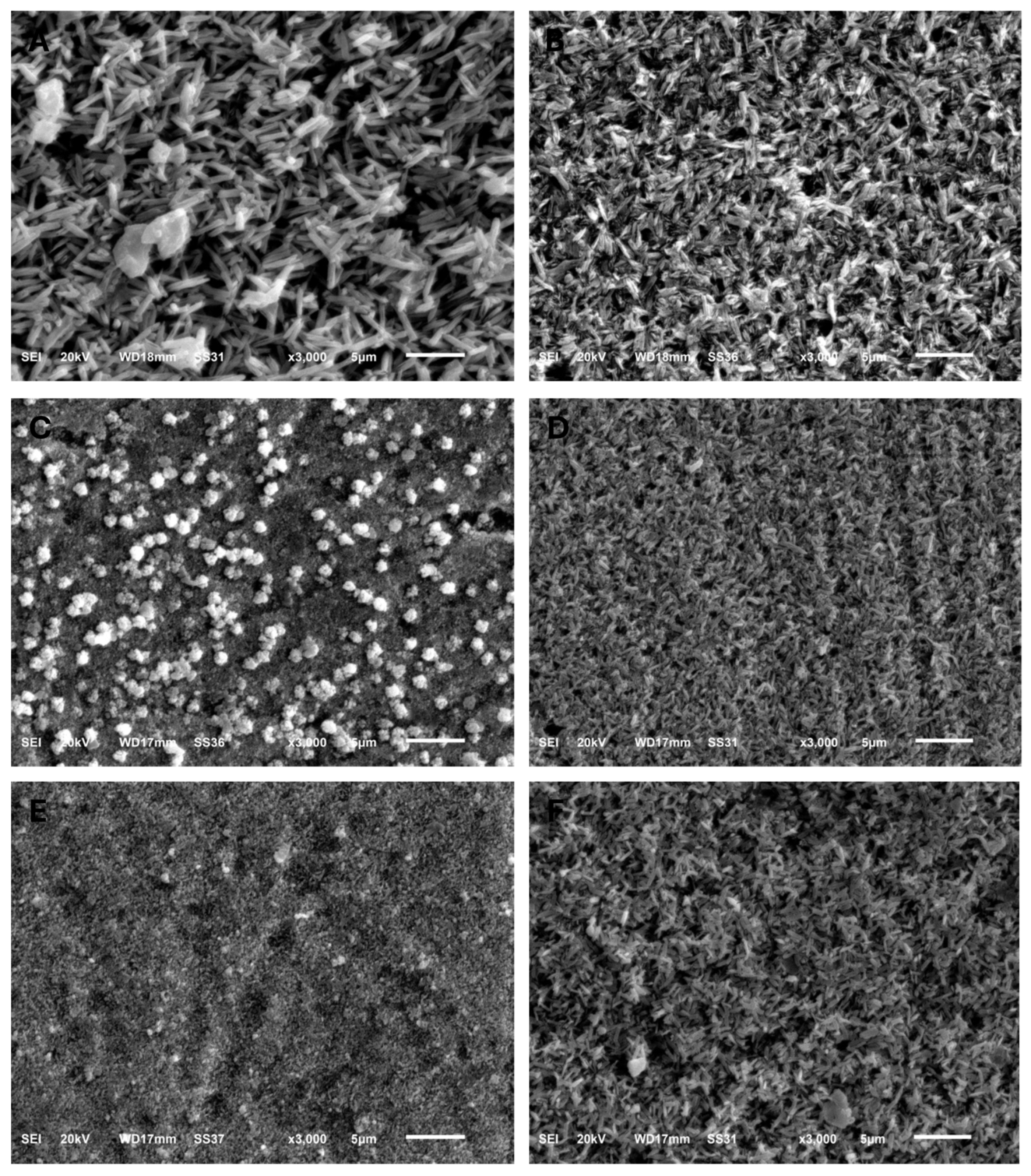 Dentistry 13 00117 g002