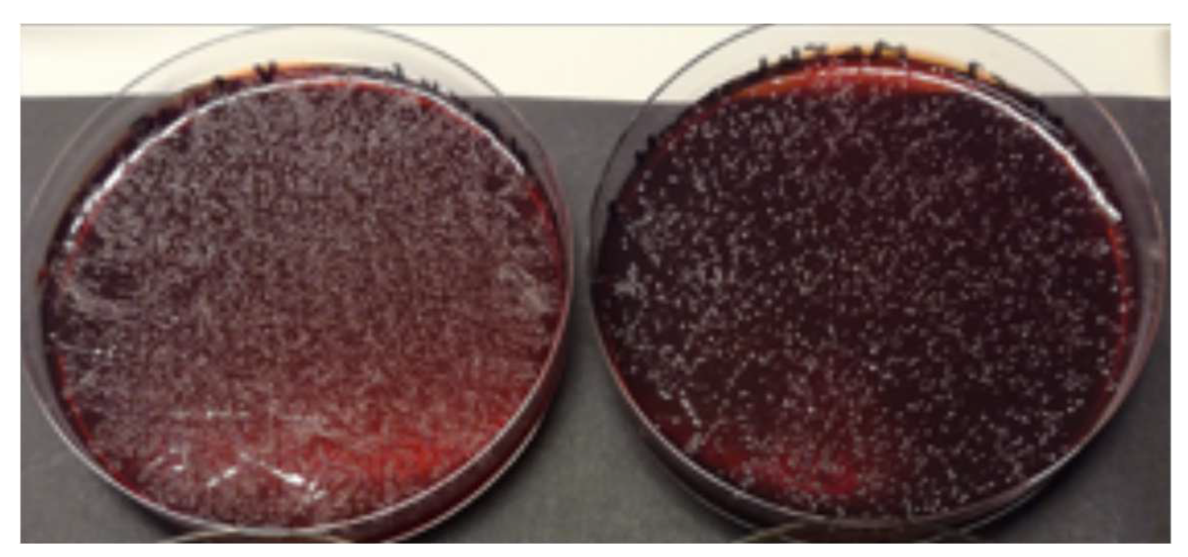 Dentistry 13 00127 g004