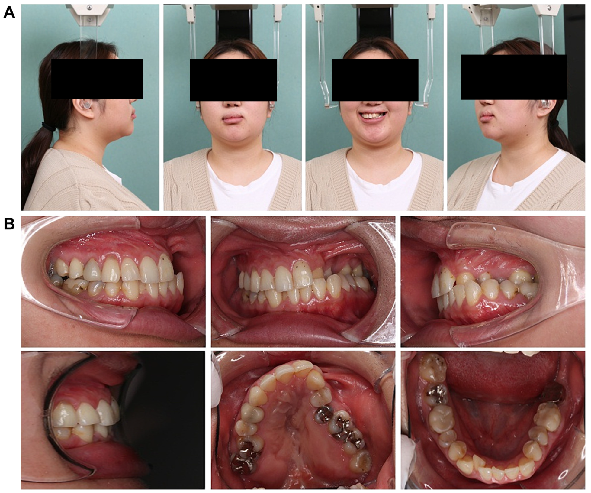 Dentistry 13 00131 g001