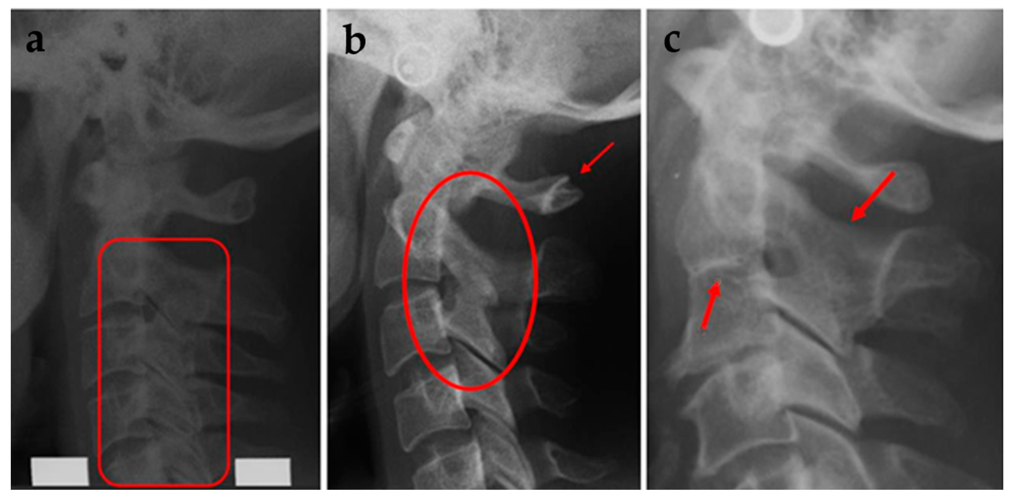 Dentistry 13 00136 g006