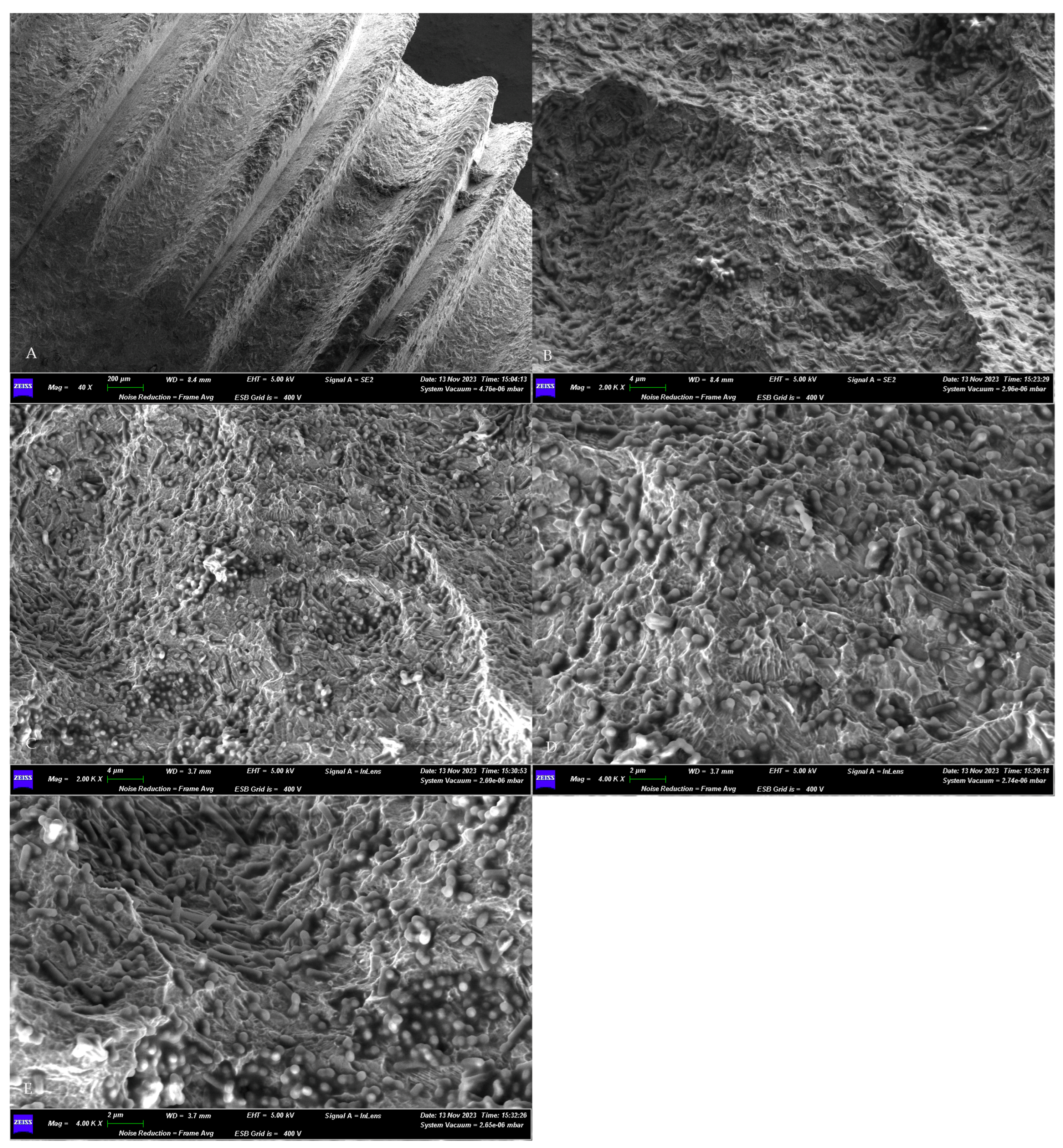 Dentistry 13 00140 g003