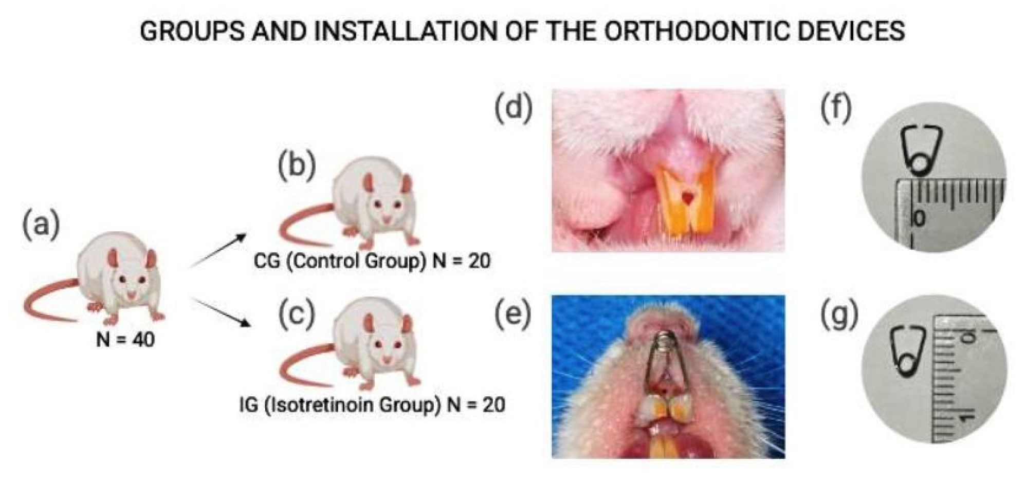 Dentistry 13 00142 g001
